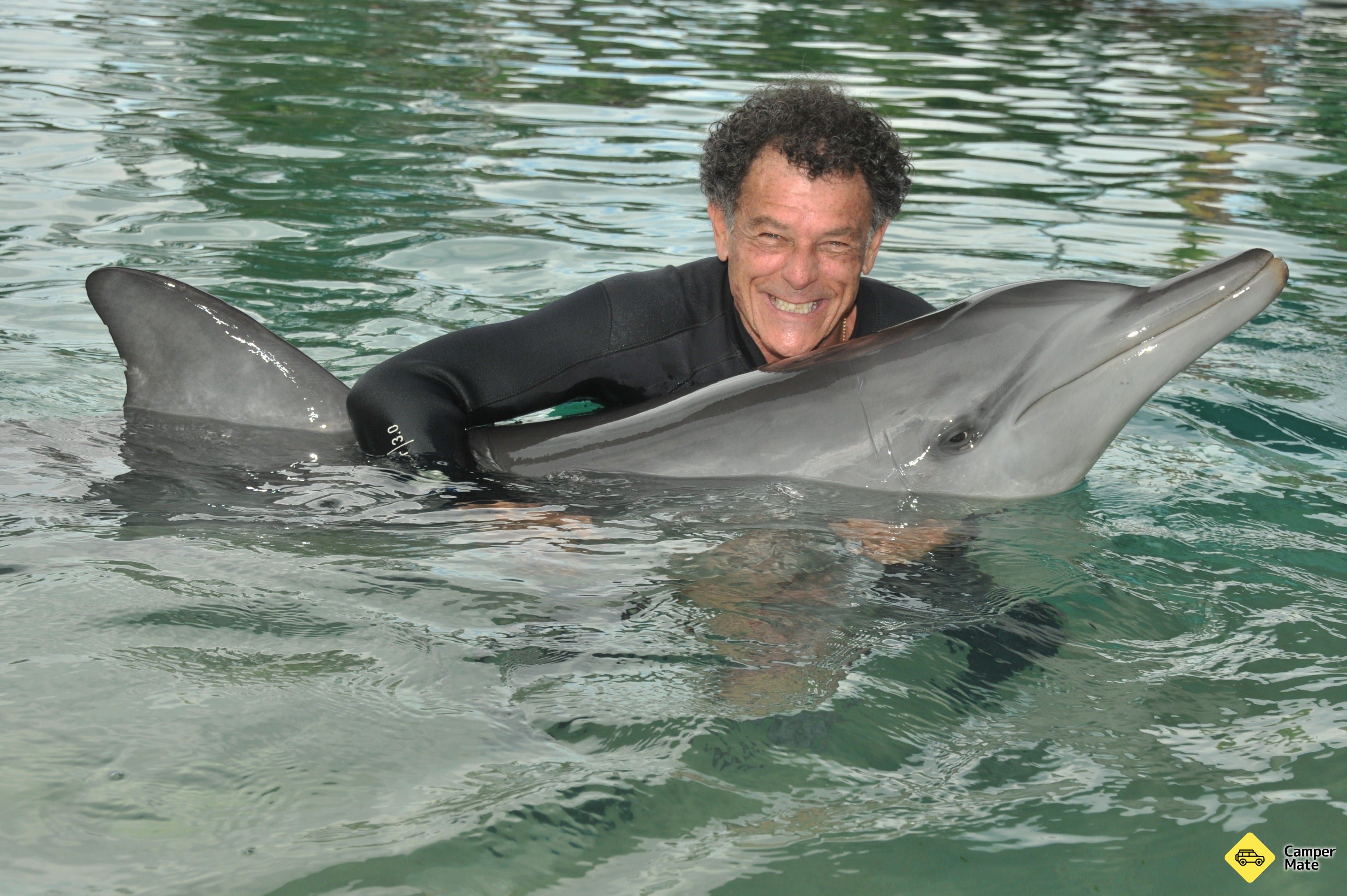 Dolphin Marine Magic - Image 3