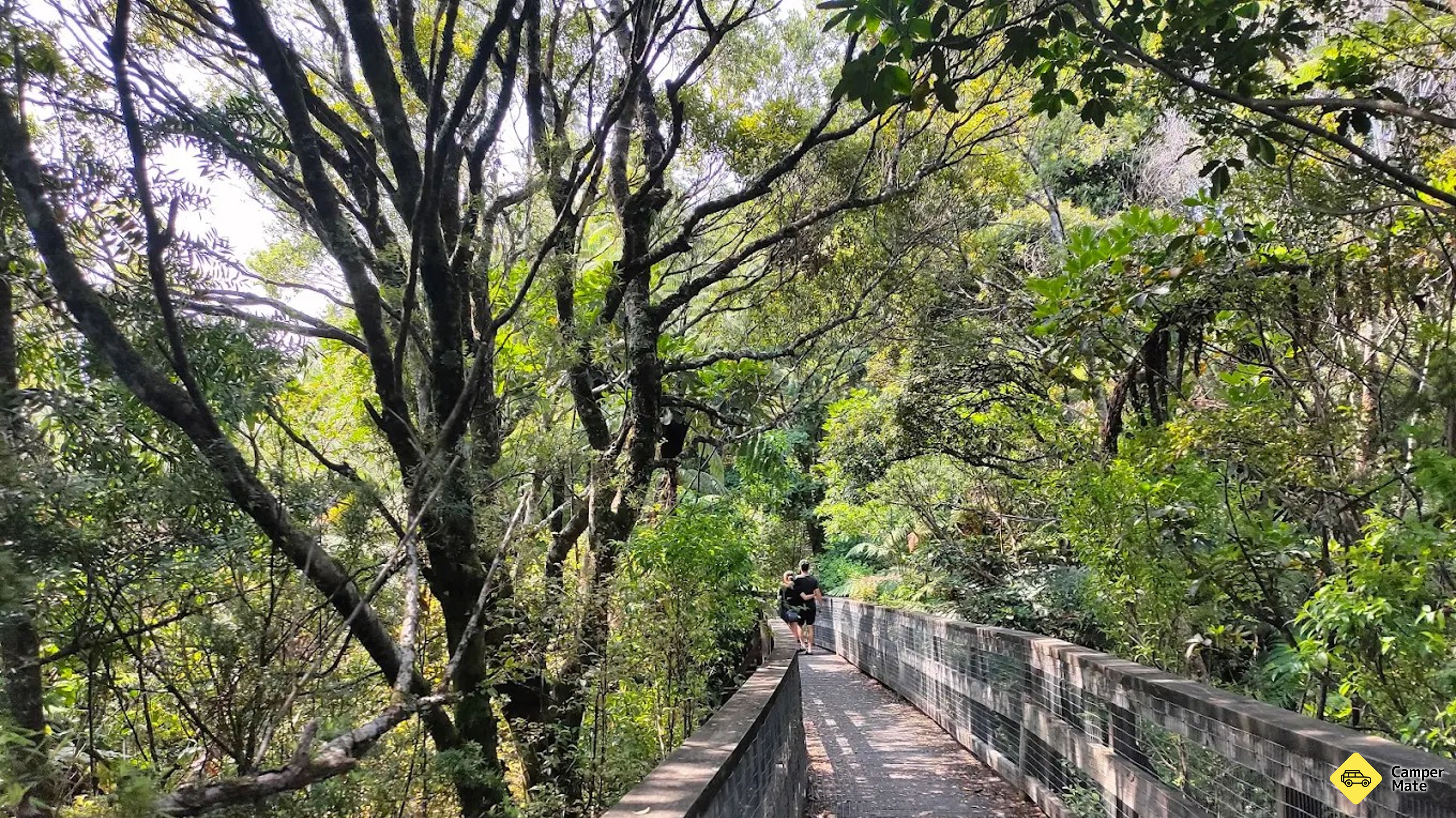 Trounson Kauri Forest Walk 부근의 호텔