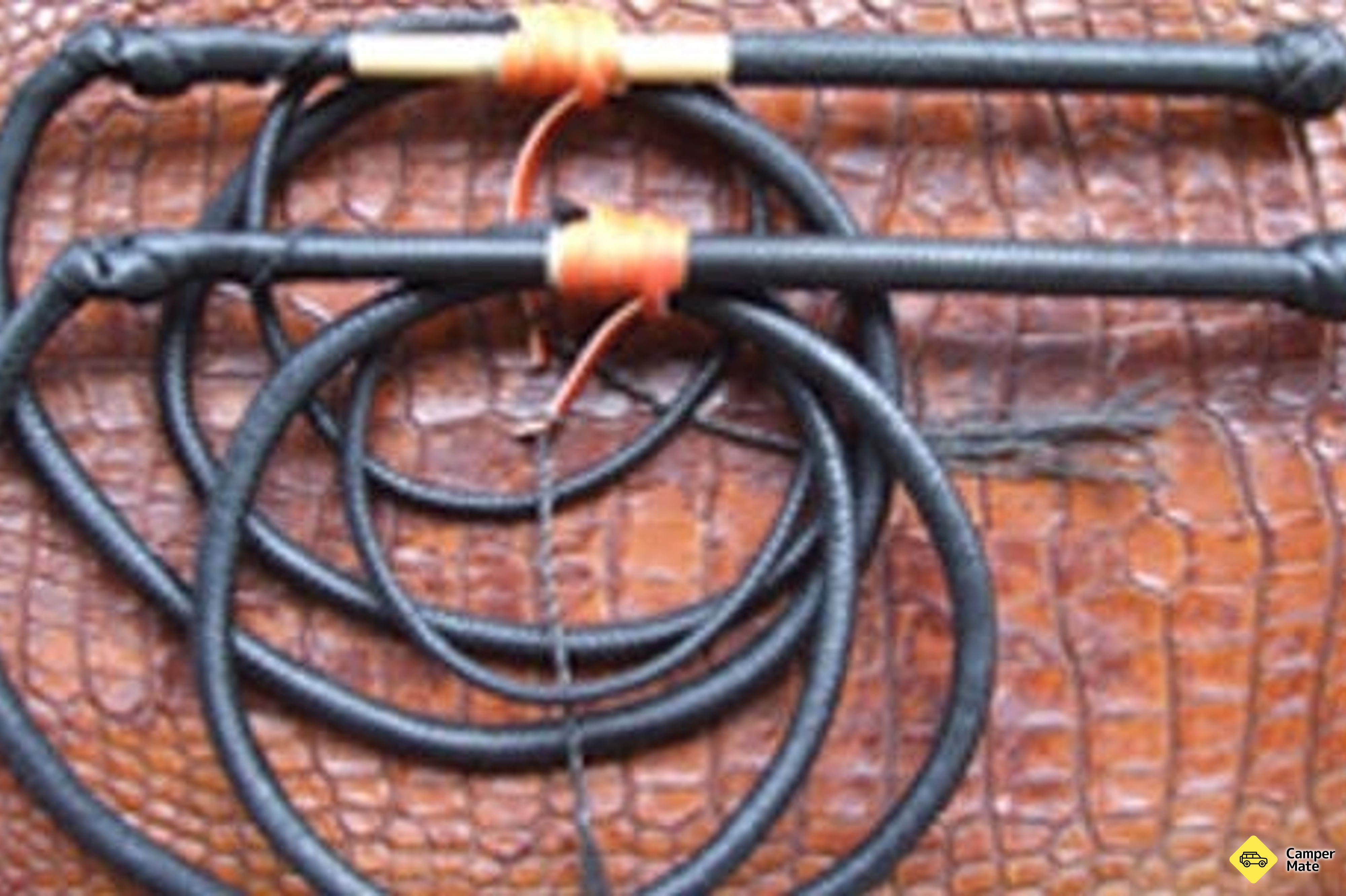 Mickey Whips