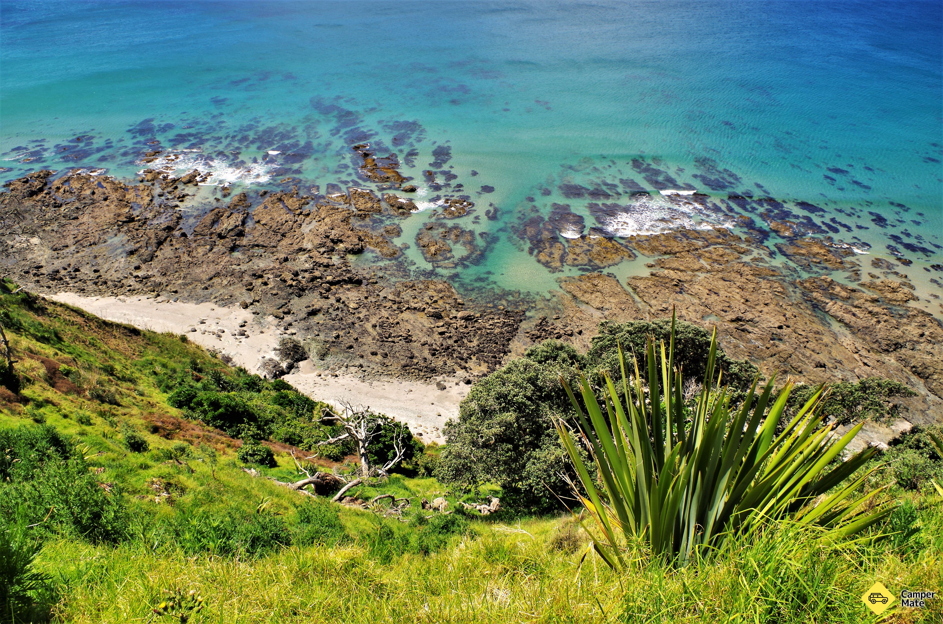 Mangawhai Cliff Top Walkway - Image 2