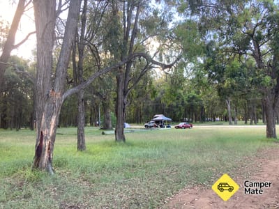 af McNamara Park