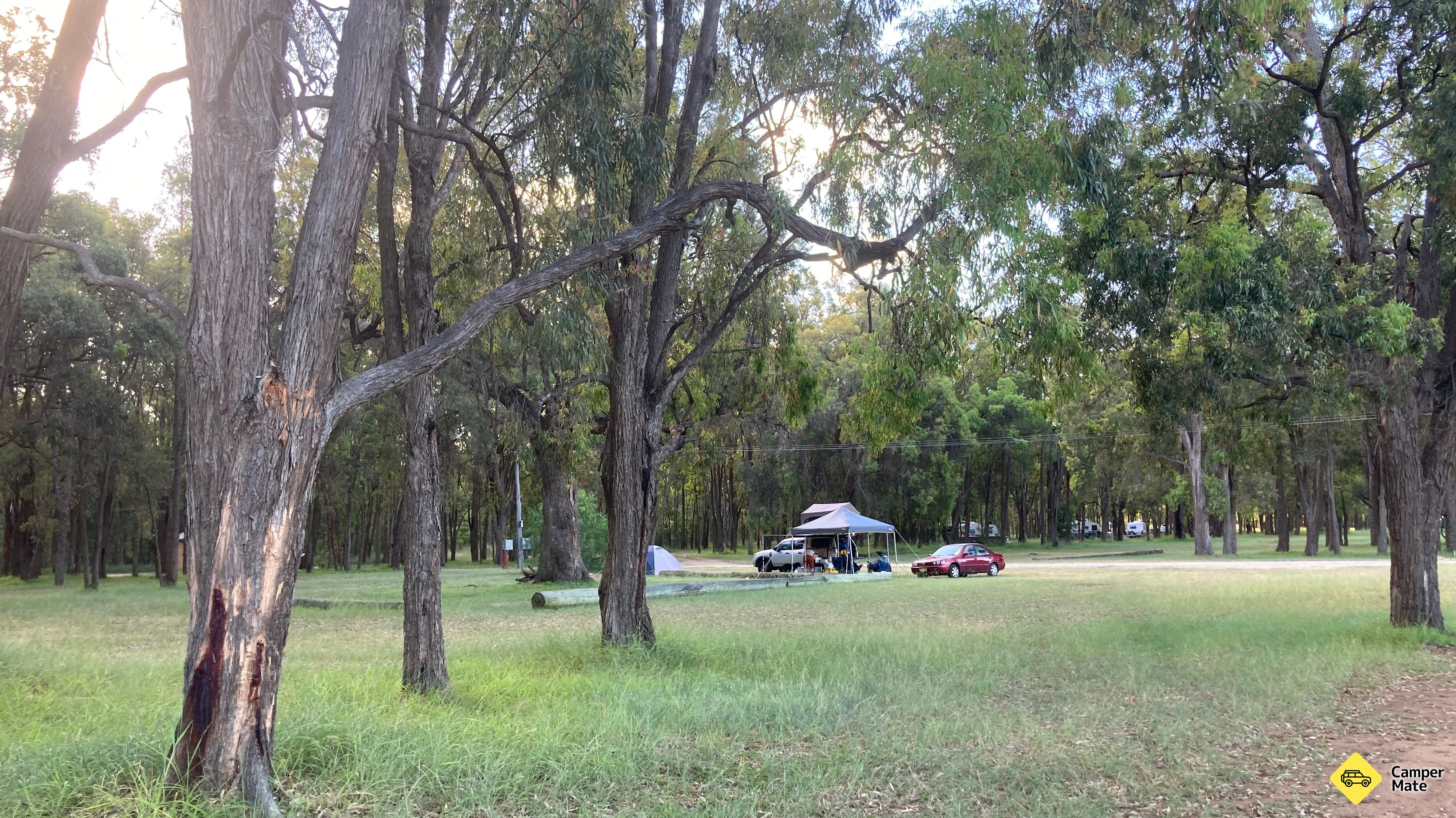 マクナマラ公園