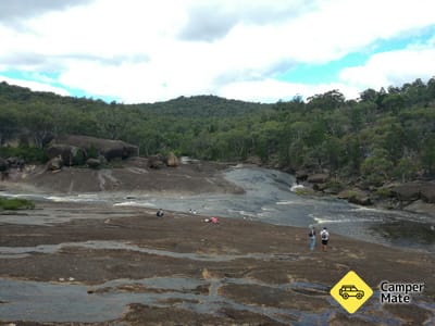 The Junction Walking Track
