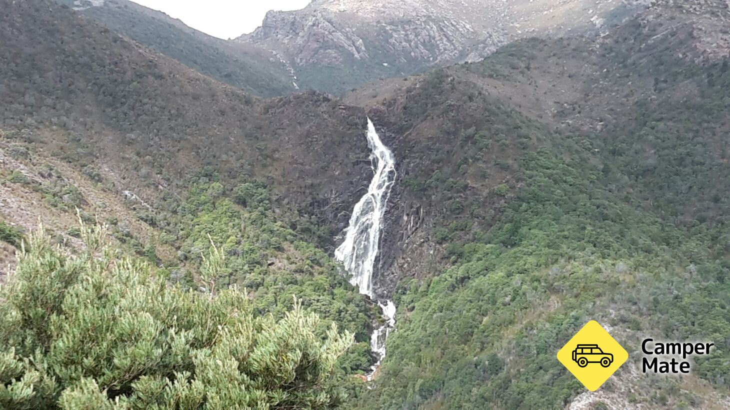 Horsetail faller