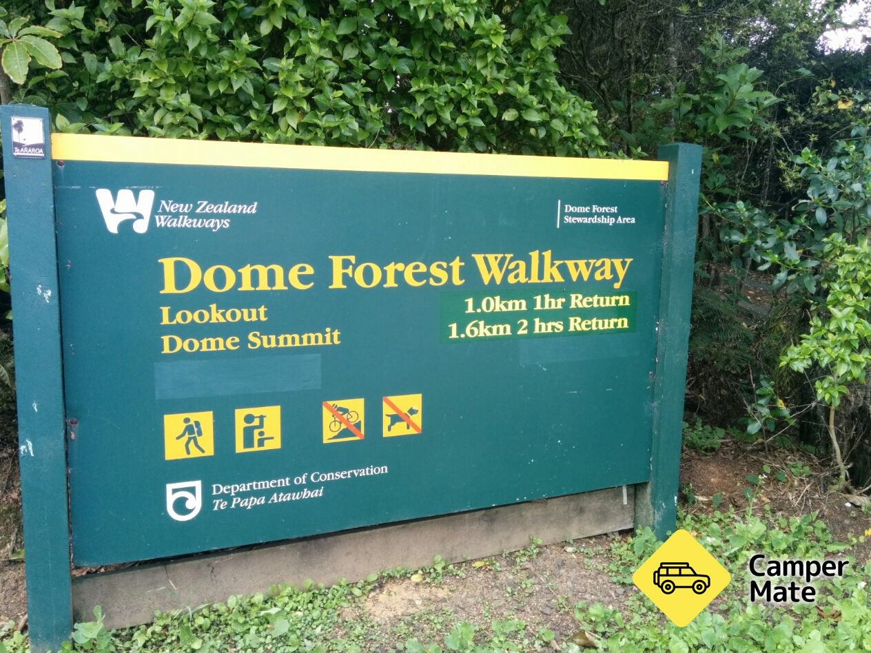 Dome Forest Walkway