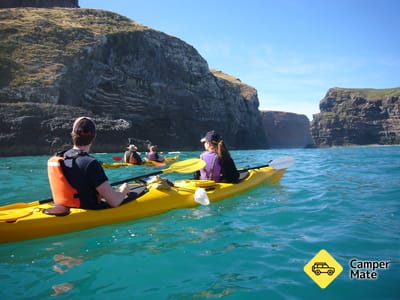 Pohatu Penguins, Sea Kayaking and Scenic 4WD Safari