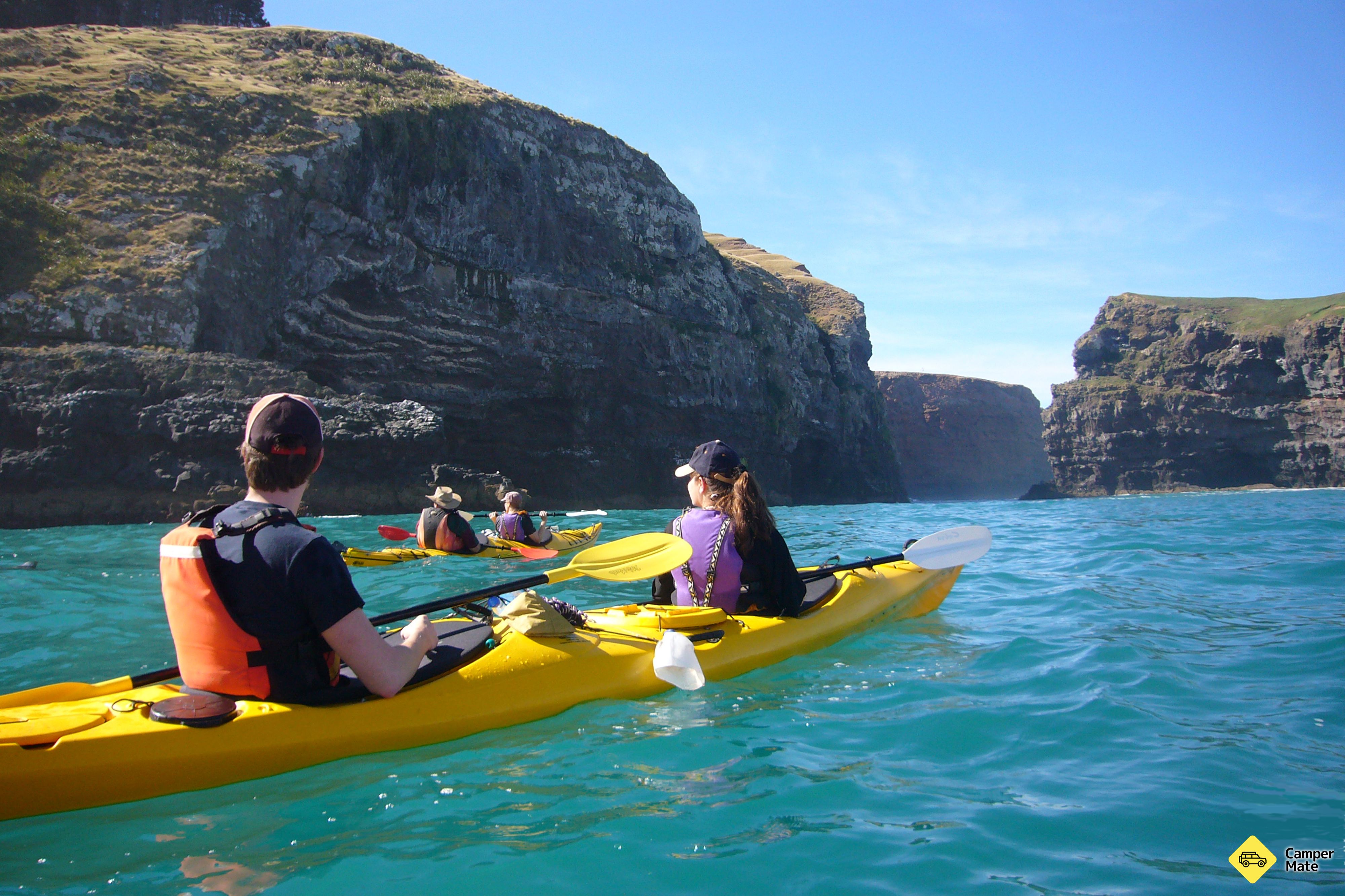 Pohatu Penguins, Sea Kayaking and Scenic 4WD Safari