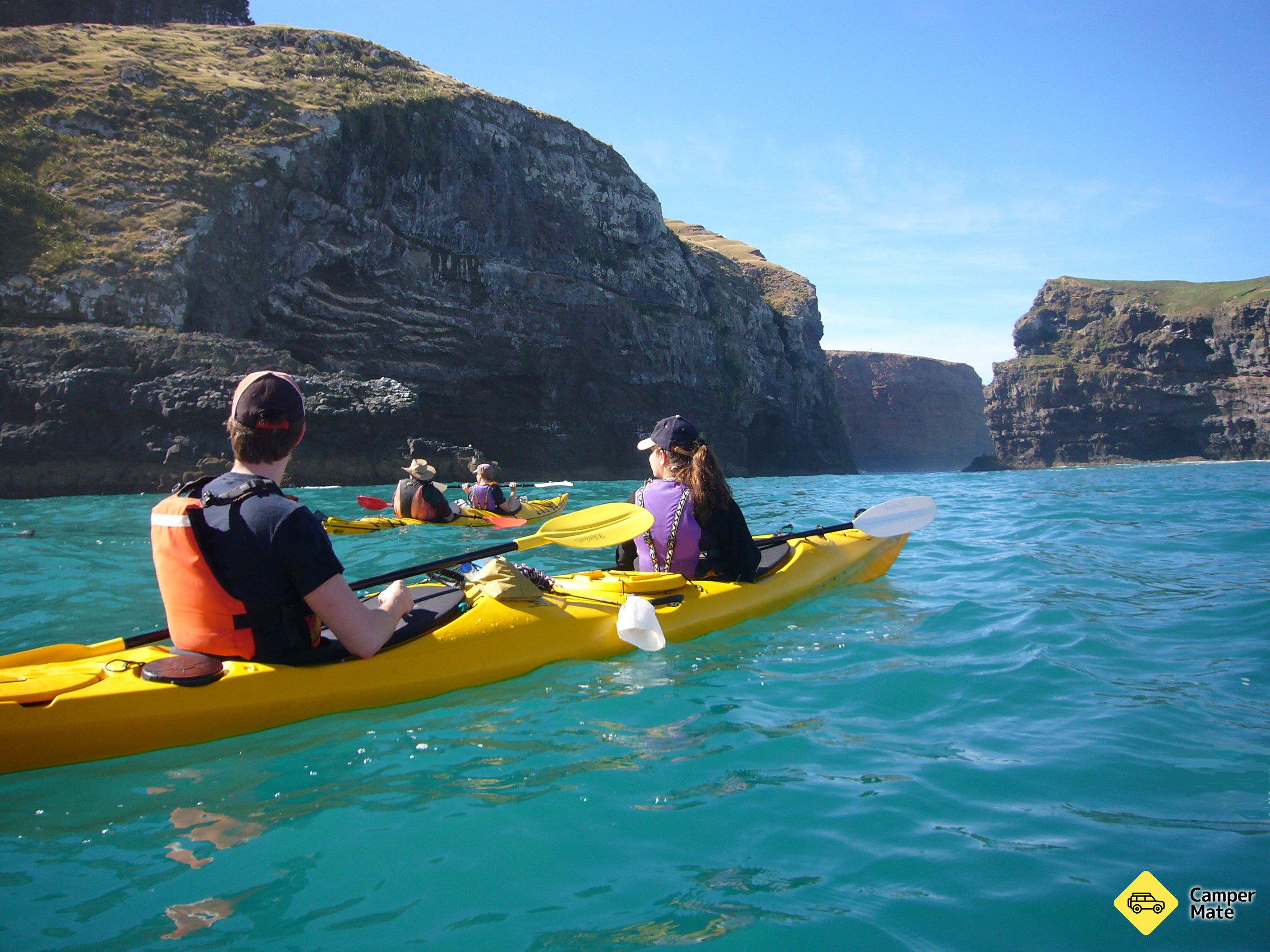 Pohatu Penguins, Sea Kayaking and Scenic 4WD Safari