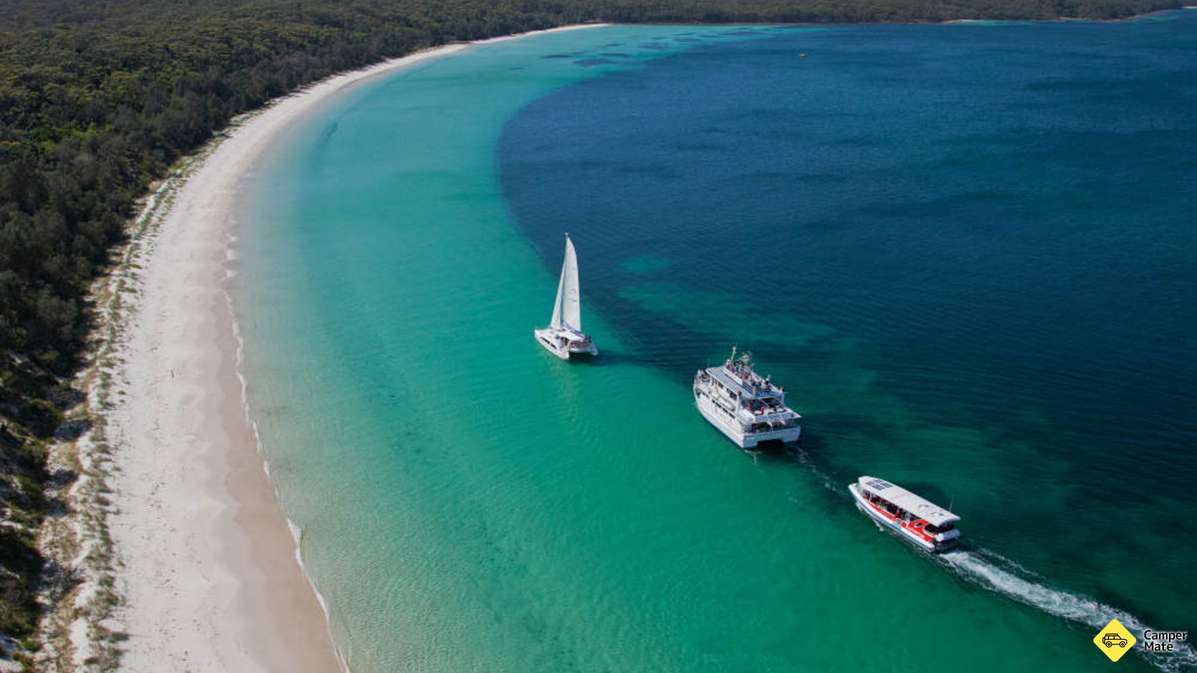 Jervis Bay Dolphin Watching Day Tour ab Sydney