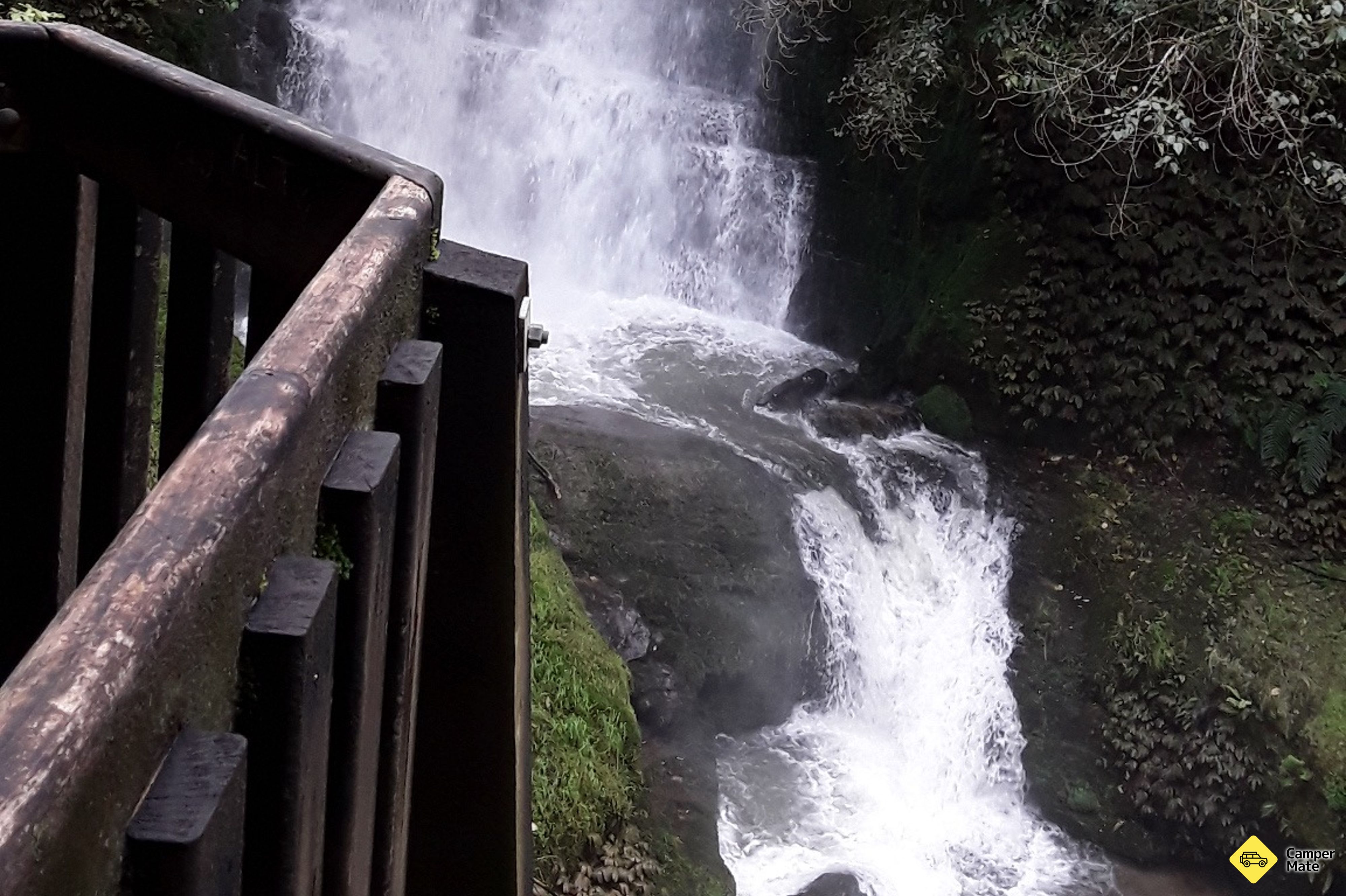 Waitanguru Falls - Image 3