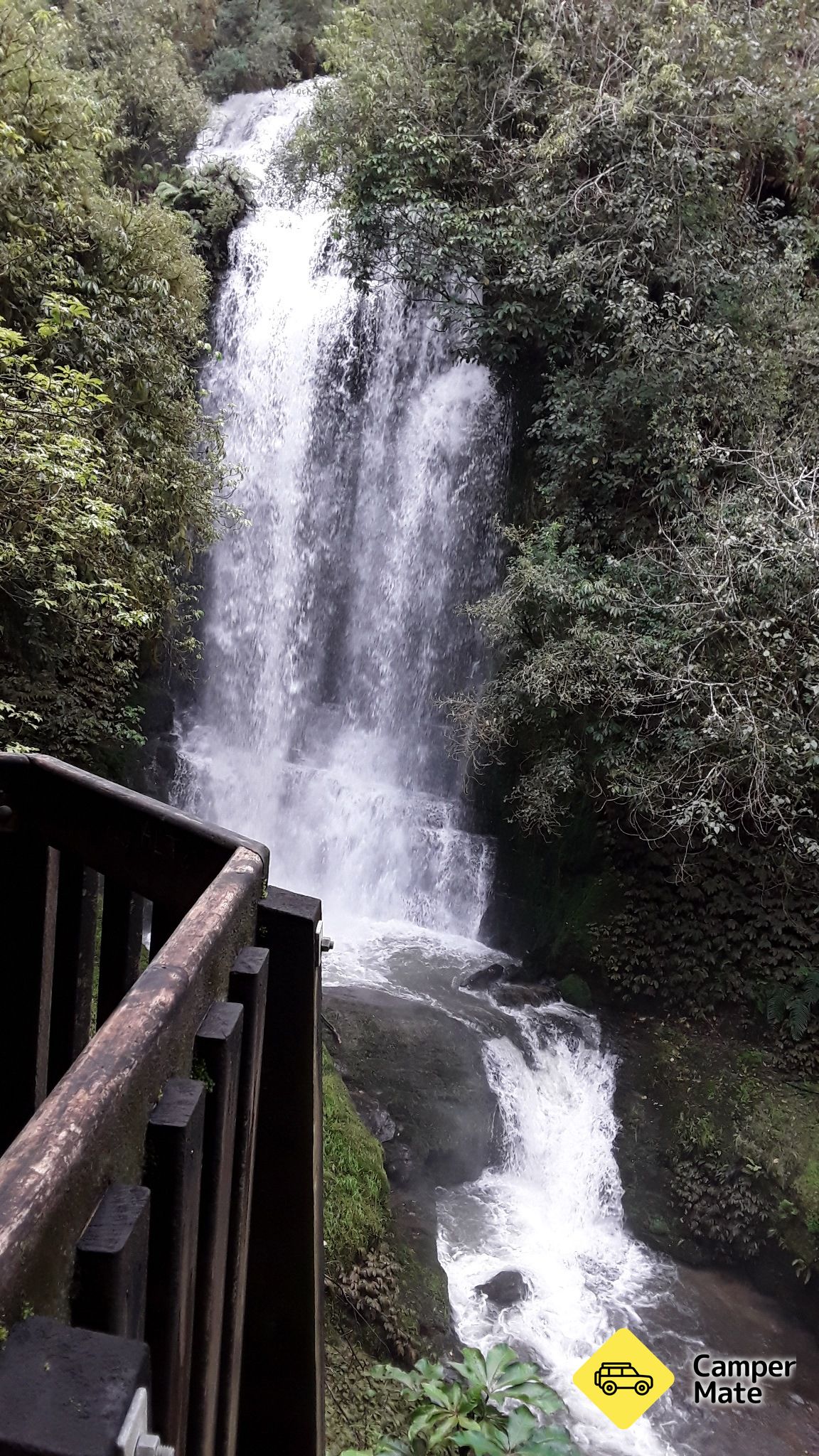 Waitanguru Falls - Image 3