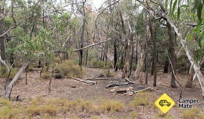 Dows Camp
