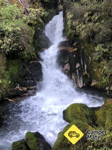 Ubytování Whirinaki Conservation Area