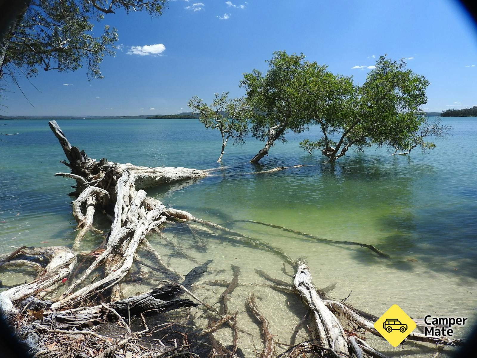 Tilligerry Habitat State Reserve - Image 3
