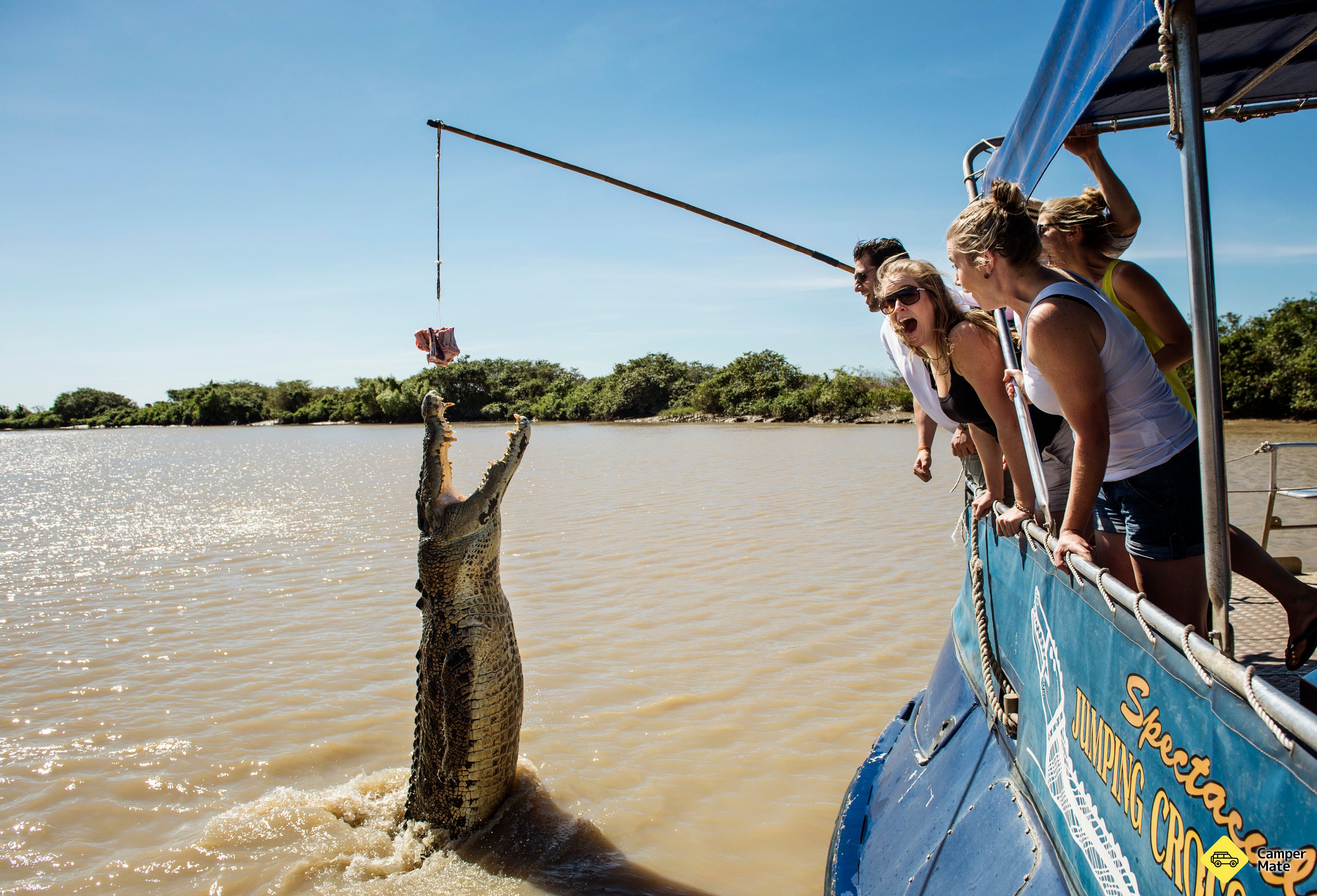 Spectacular Jumping Crocodile Cruise - Image 3