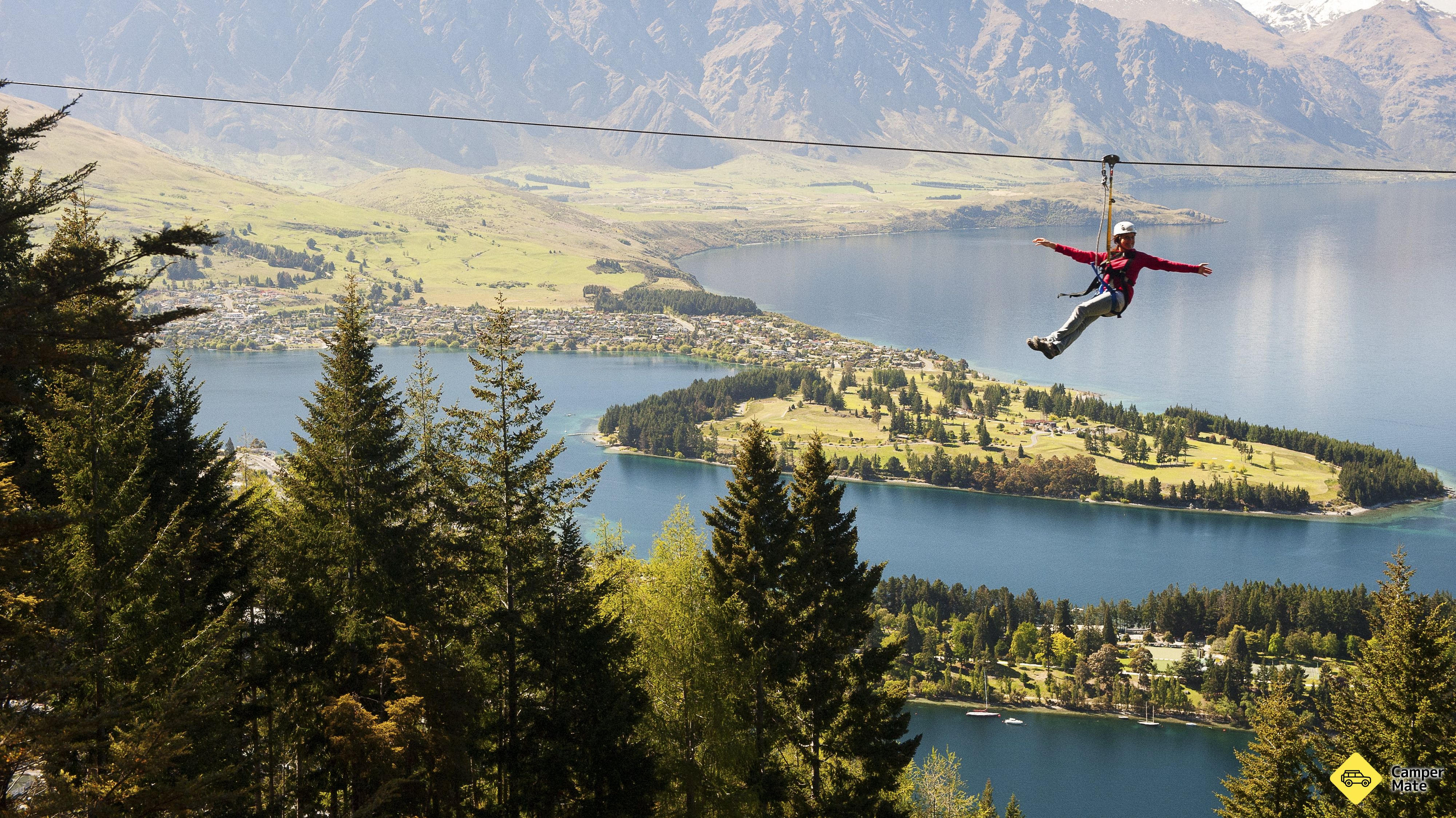 Les écosystèmes de Ziptrek