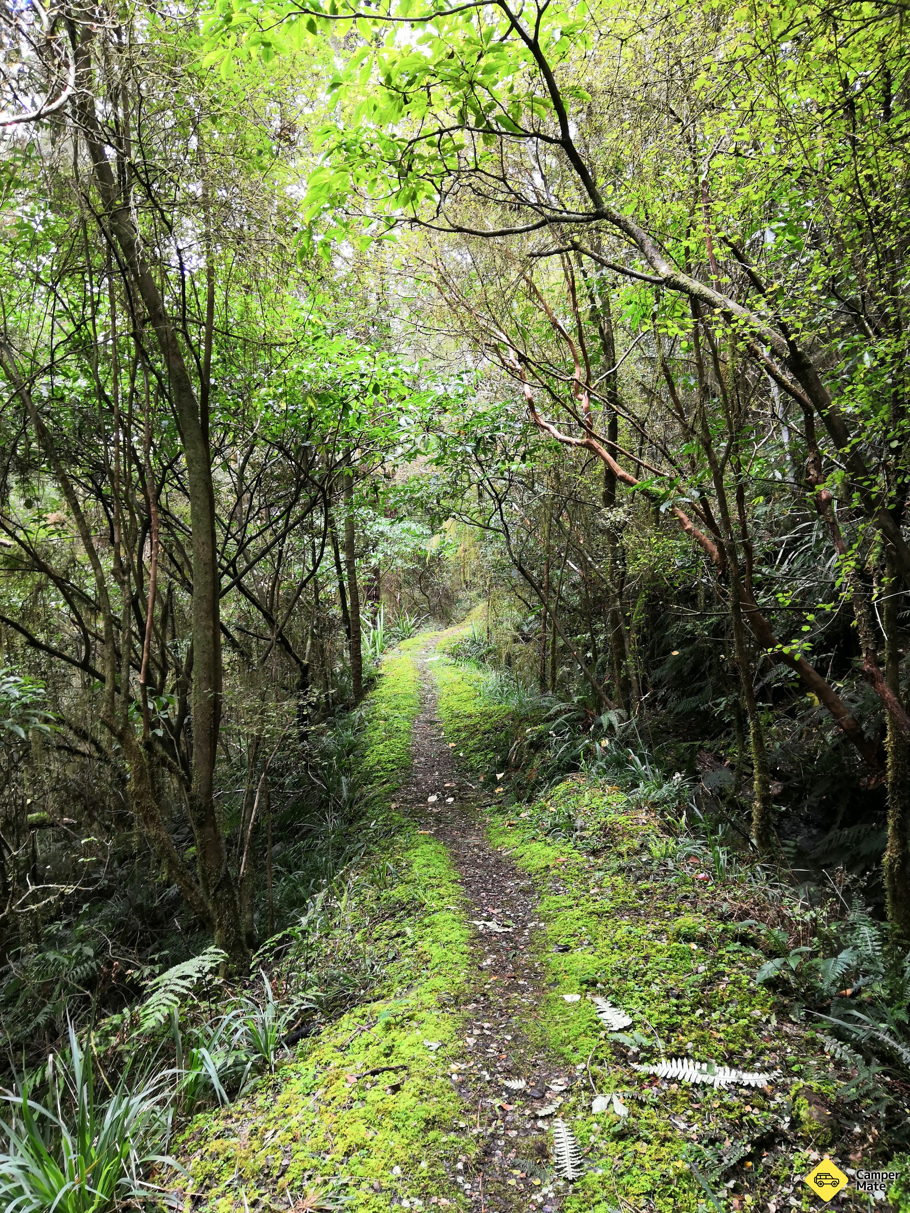 Six Mile Walk - Image 2