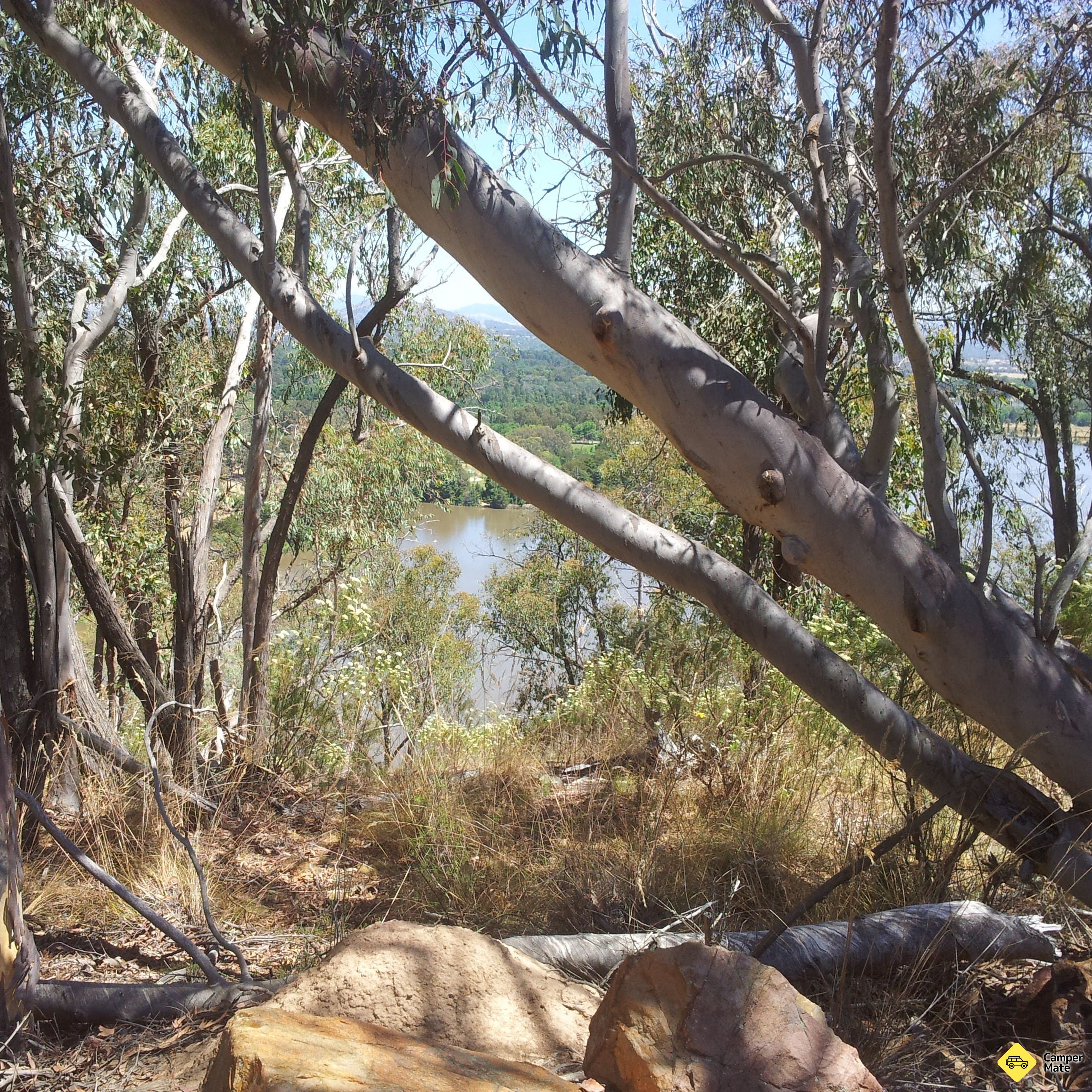Black Mountain Nature Reserve - Image 2