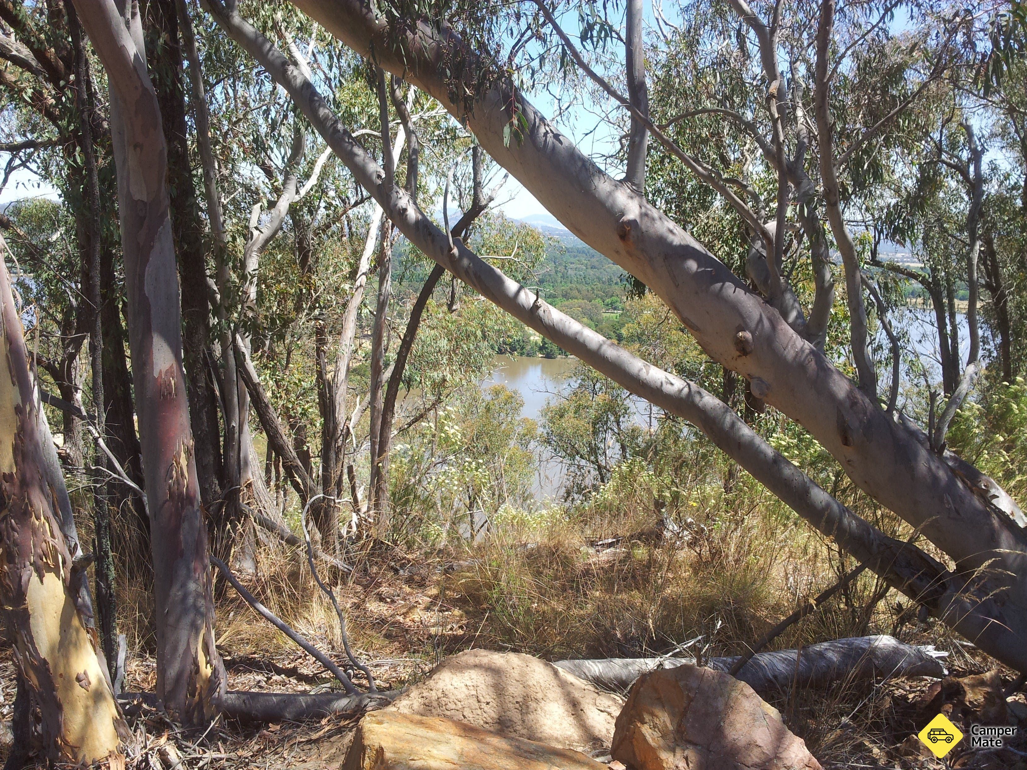 Black Mountain Nature Reserve - Image 2