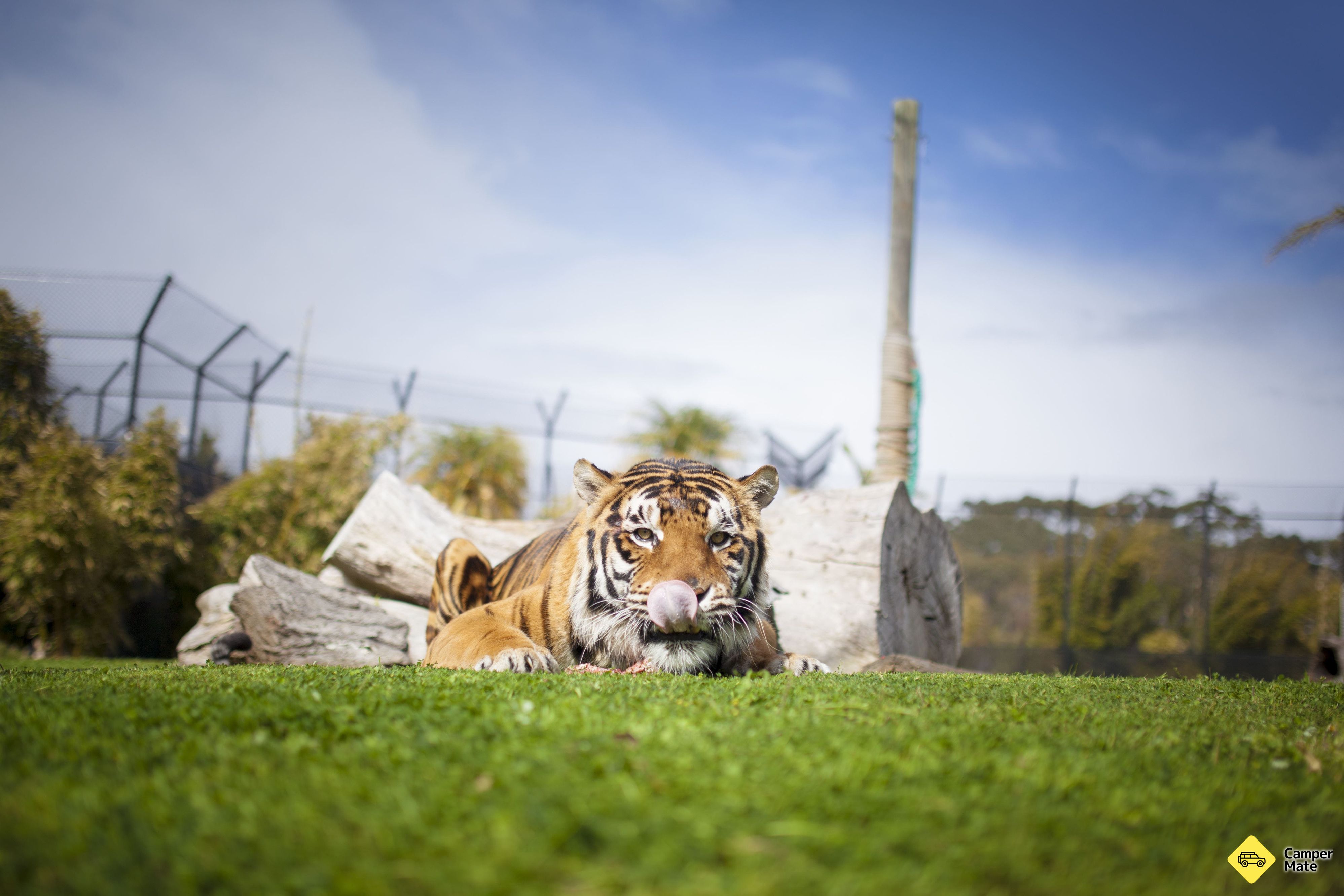 Symbio Wildlife Park - Image 2