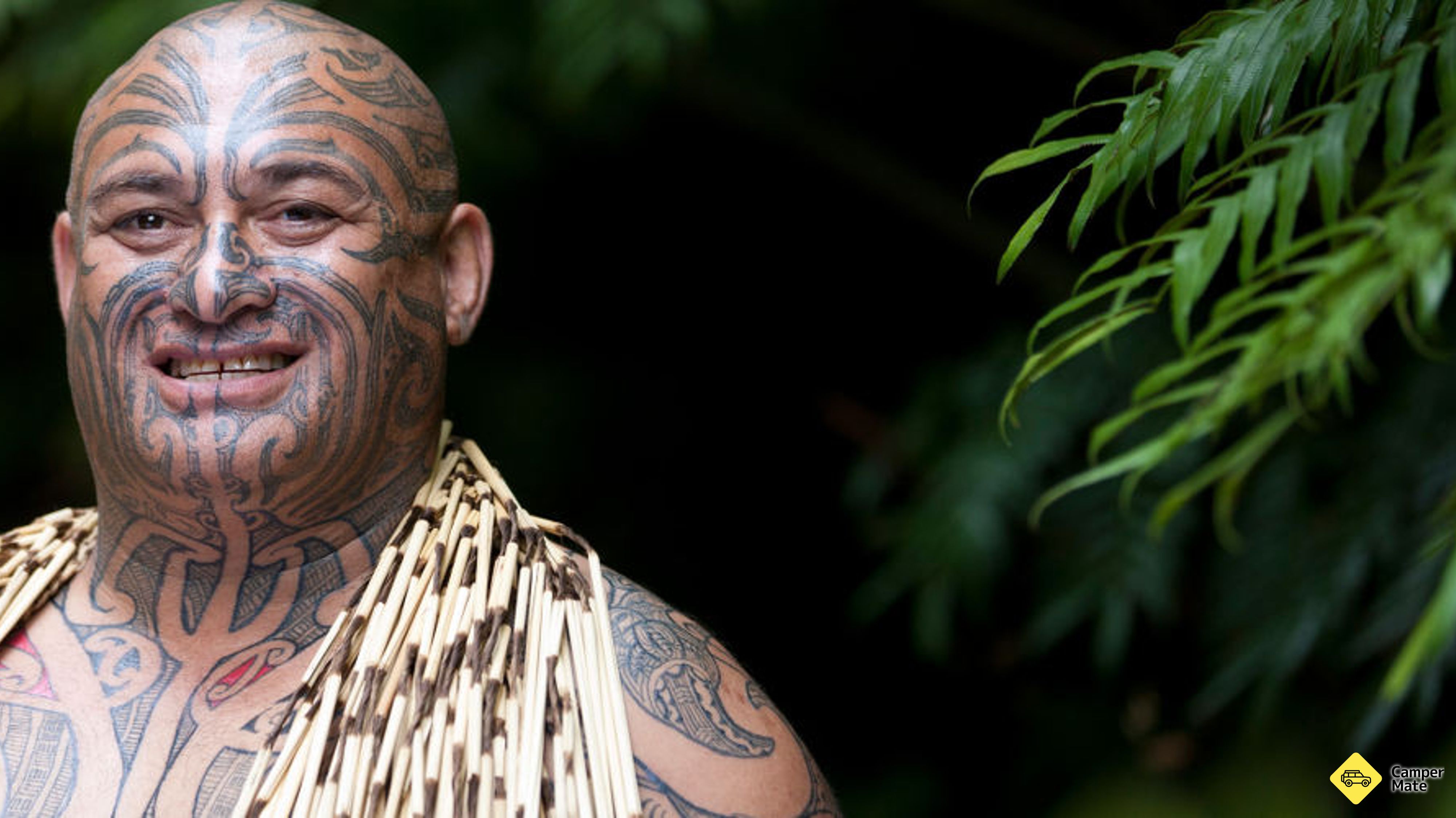 Tour della cultura Maori