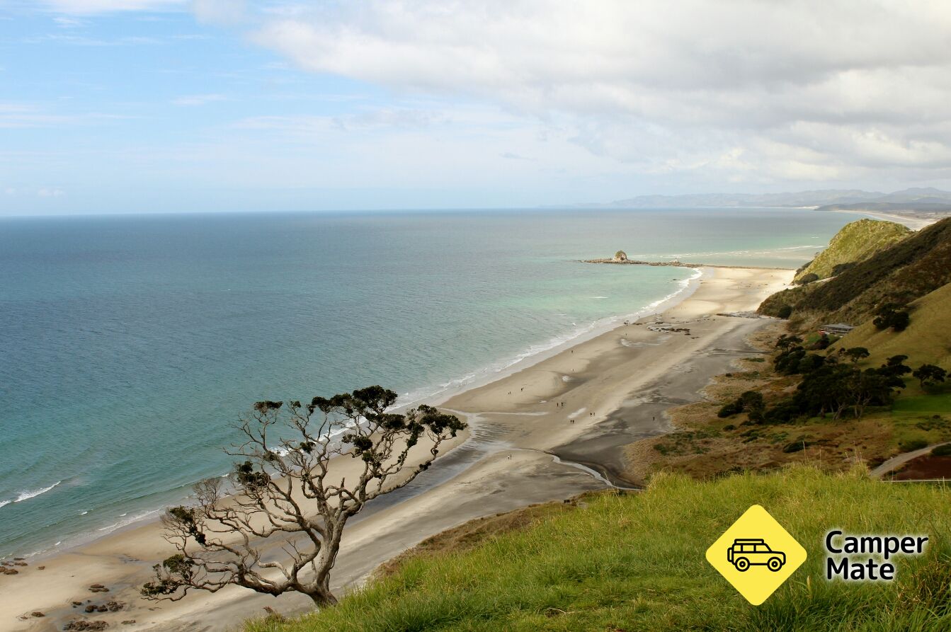 Mangawhai Cliff Top Walkway - Image 3