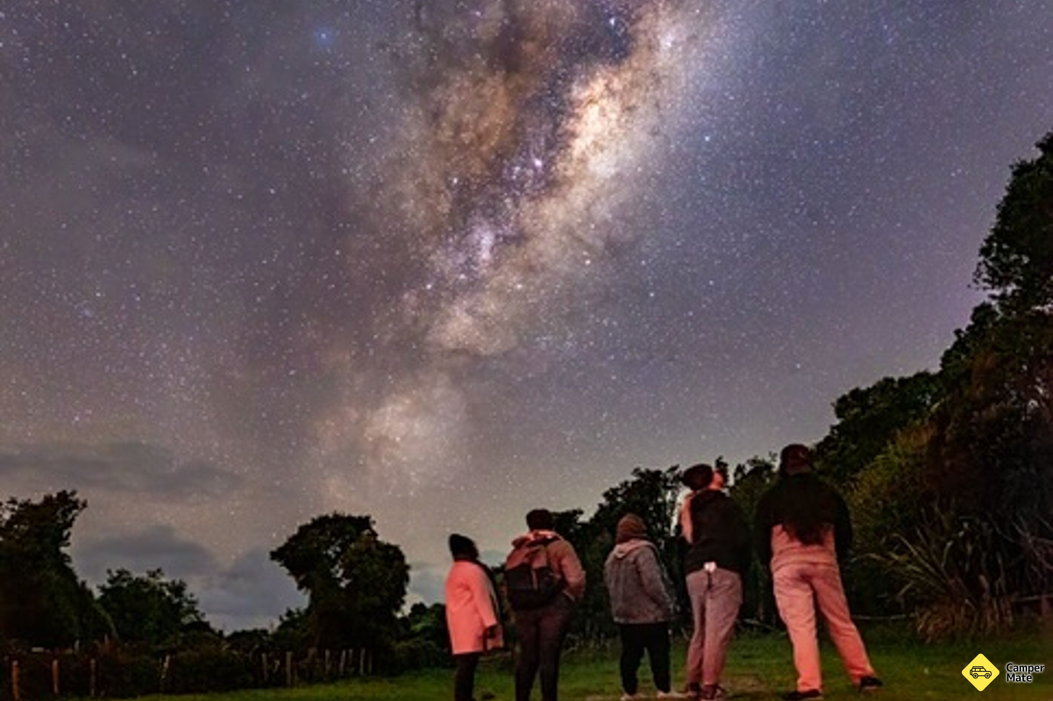 Stargazing & Wild Kiwi Tours(スターガジング&ワイルドキウイツアー) - Image 3