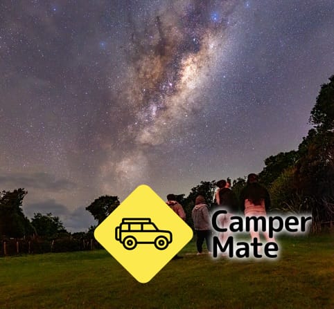 Stargazing & Wild Kiwi Tours - Image 3
