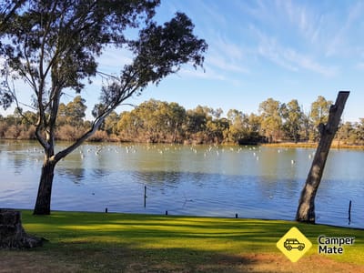 Lähellä hotellia Rivergardens Holiday Park Mildura
