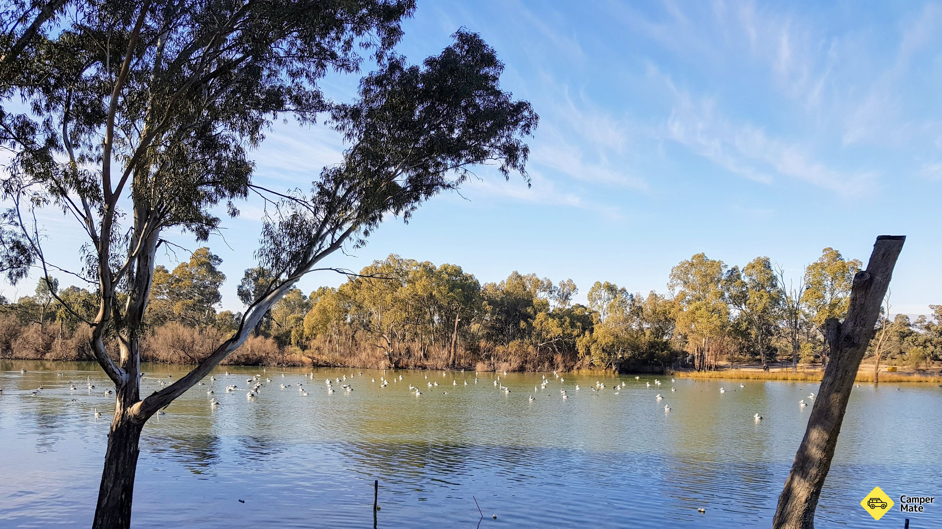 Lähellä hotellia Rivergardens Holiday Park Mildura