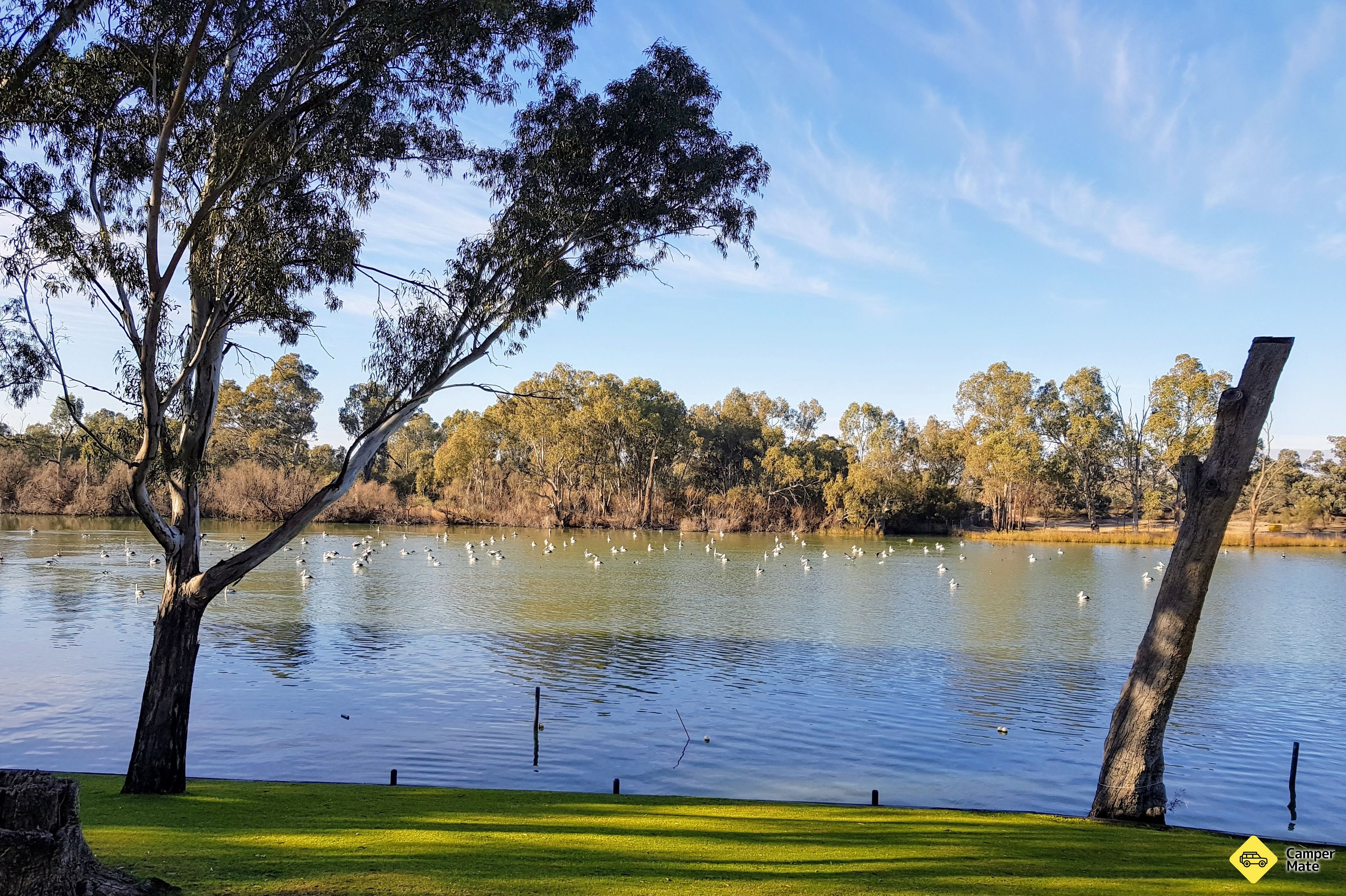 Lähellä hotellia Rivergardens Holiday Park Mildura