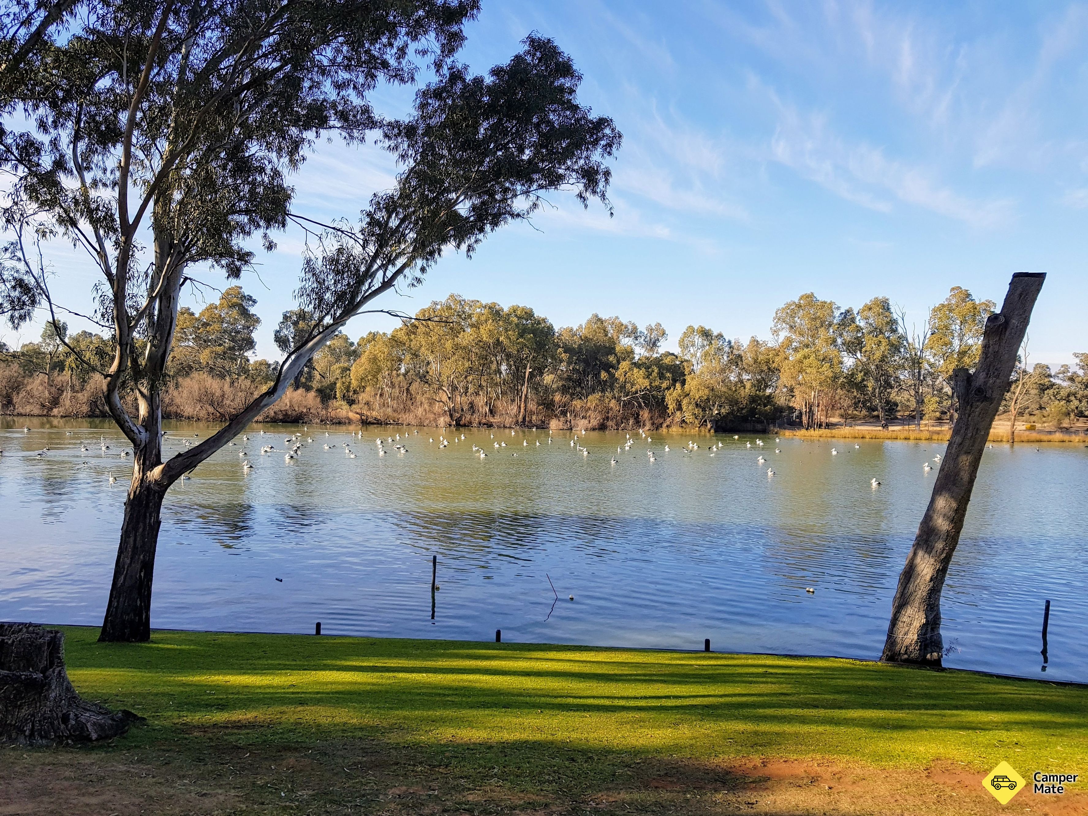 Lähellä hotellia Rivergardens Holiday Park Mildura