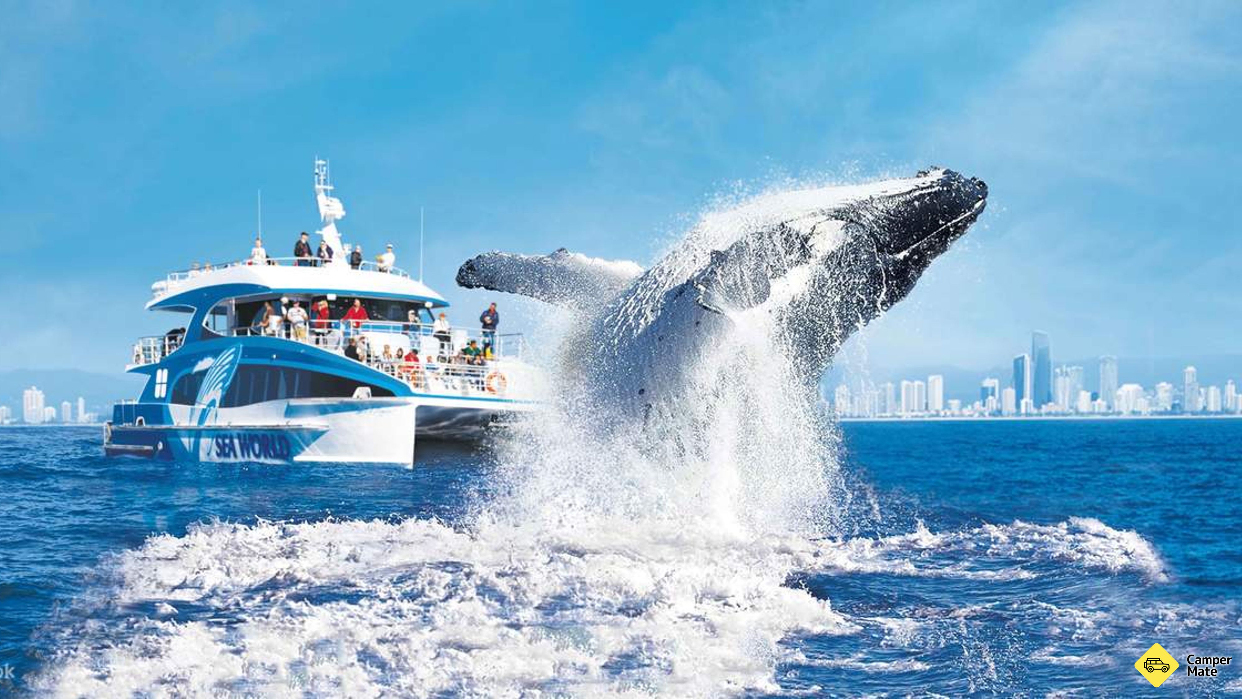 Sledování velryb s Sea World Cruises