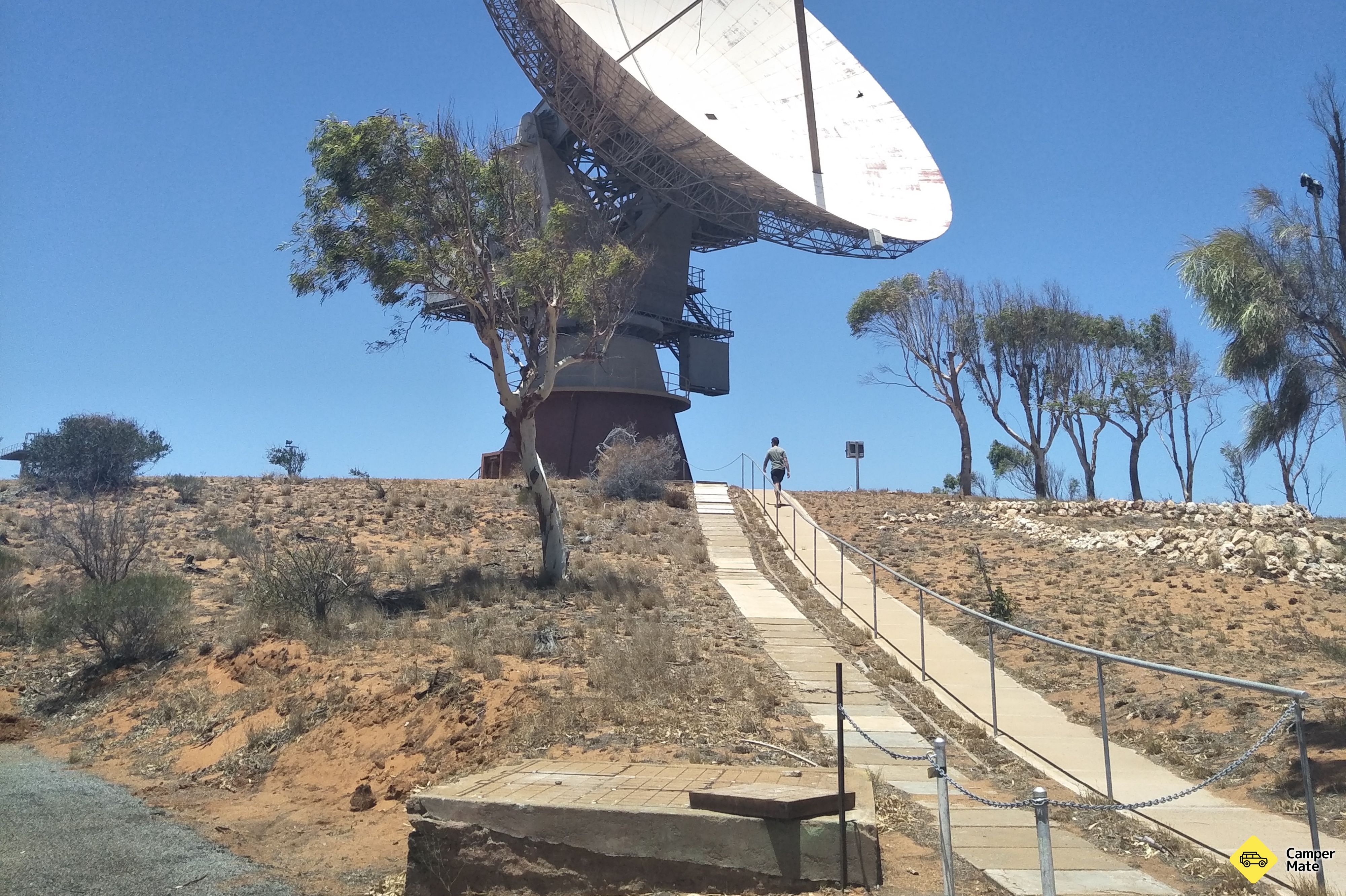 Big Satellite Dish