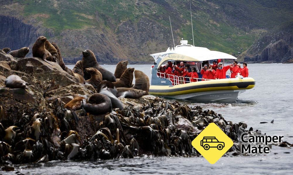 Bruny Island Wilderness Cruise and Bus Transfer from Hobart(ホバート) - Image 3