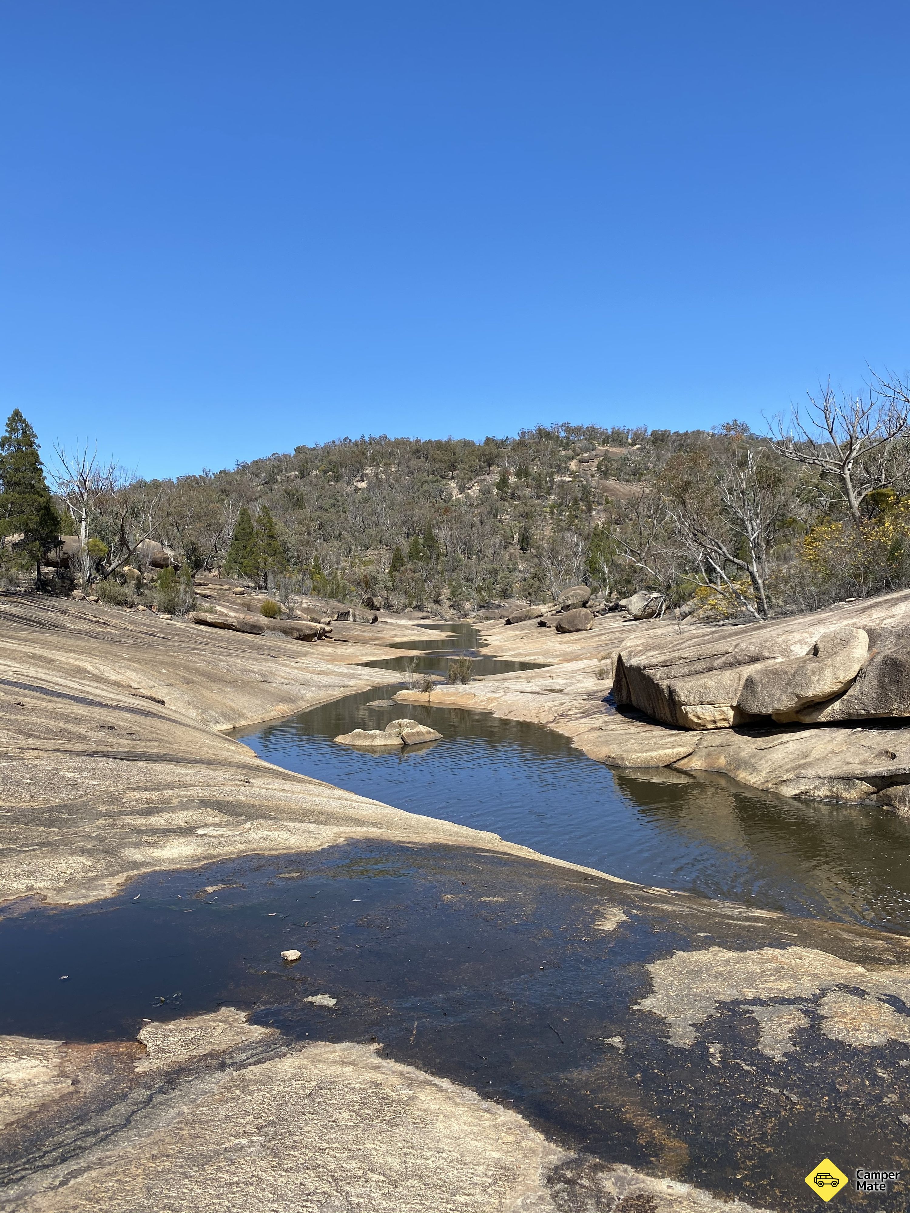 The Junction Walking Track - Image 2