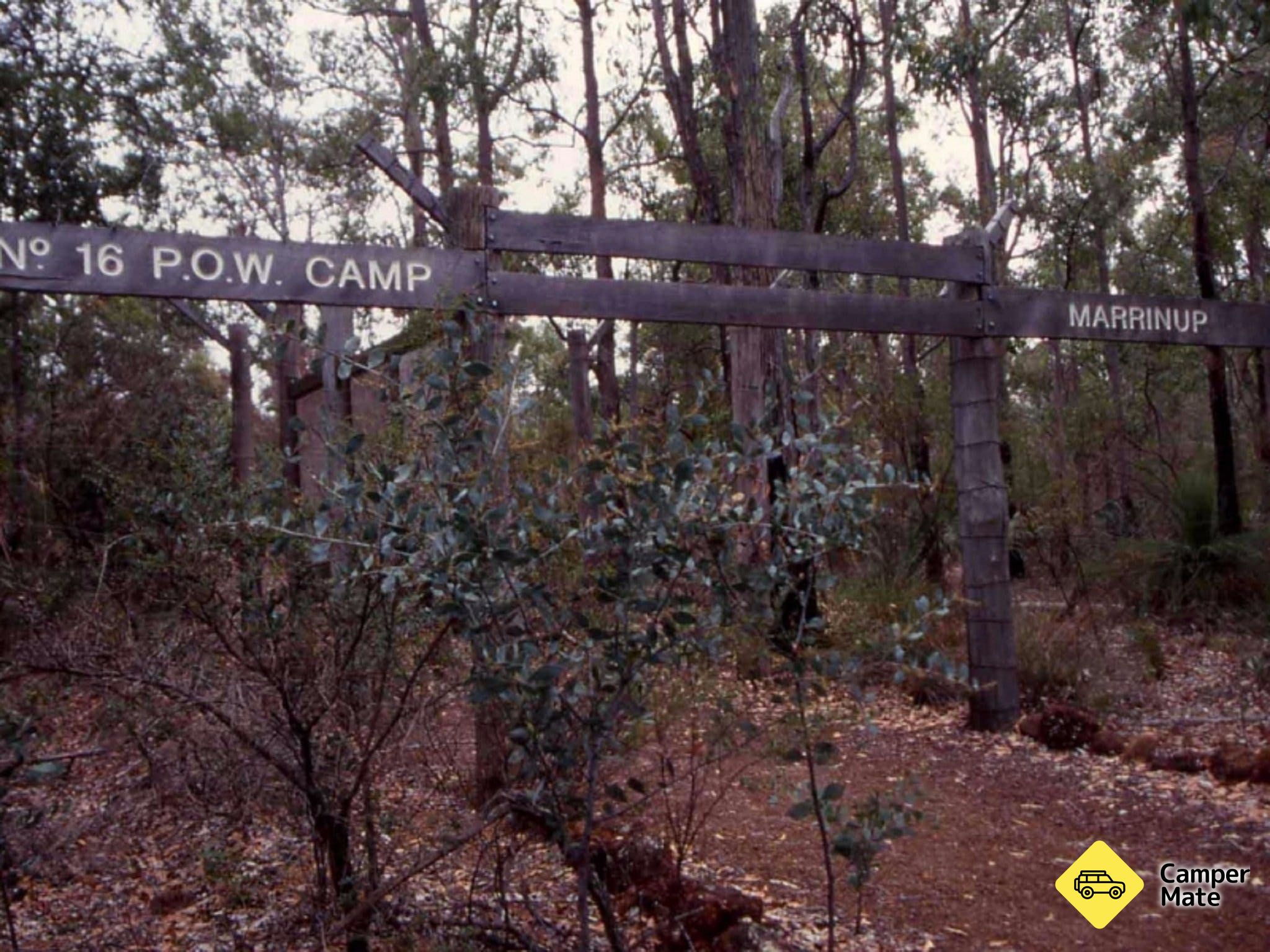 Marrinup Mountain Bike Trail(マリノップ・マウンテン・バイク・トレイル) - Image 2