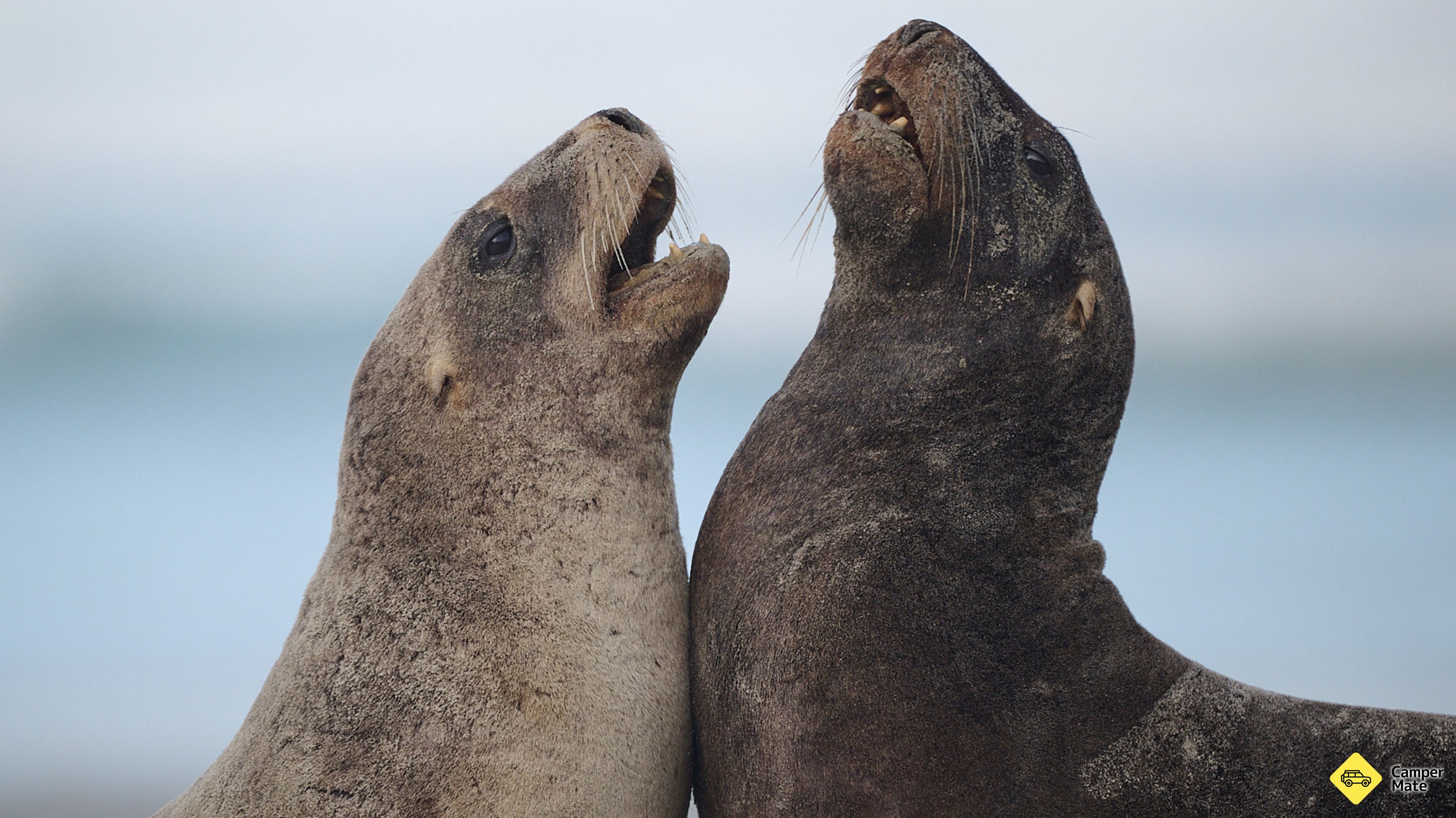 Clearwater Wildlife Tours