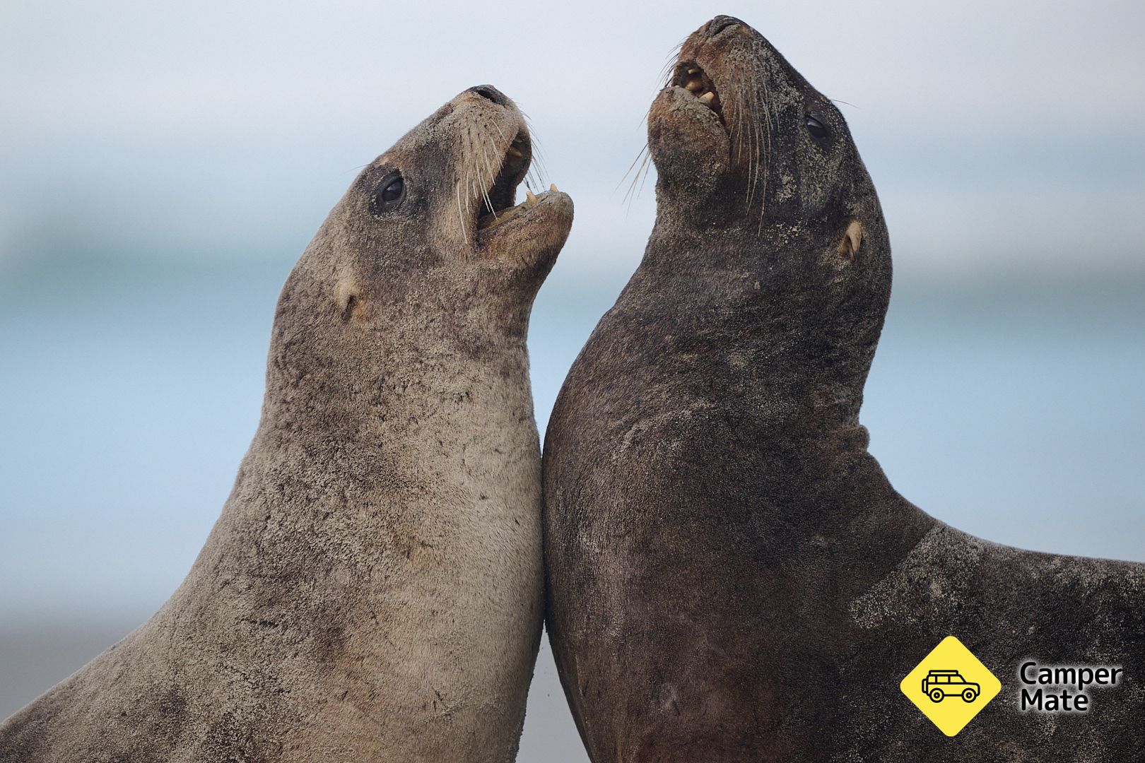 Clearwater Wildlife Tours