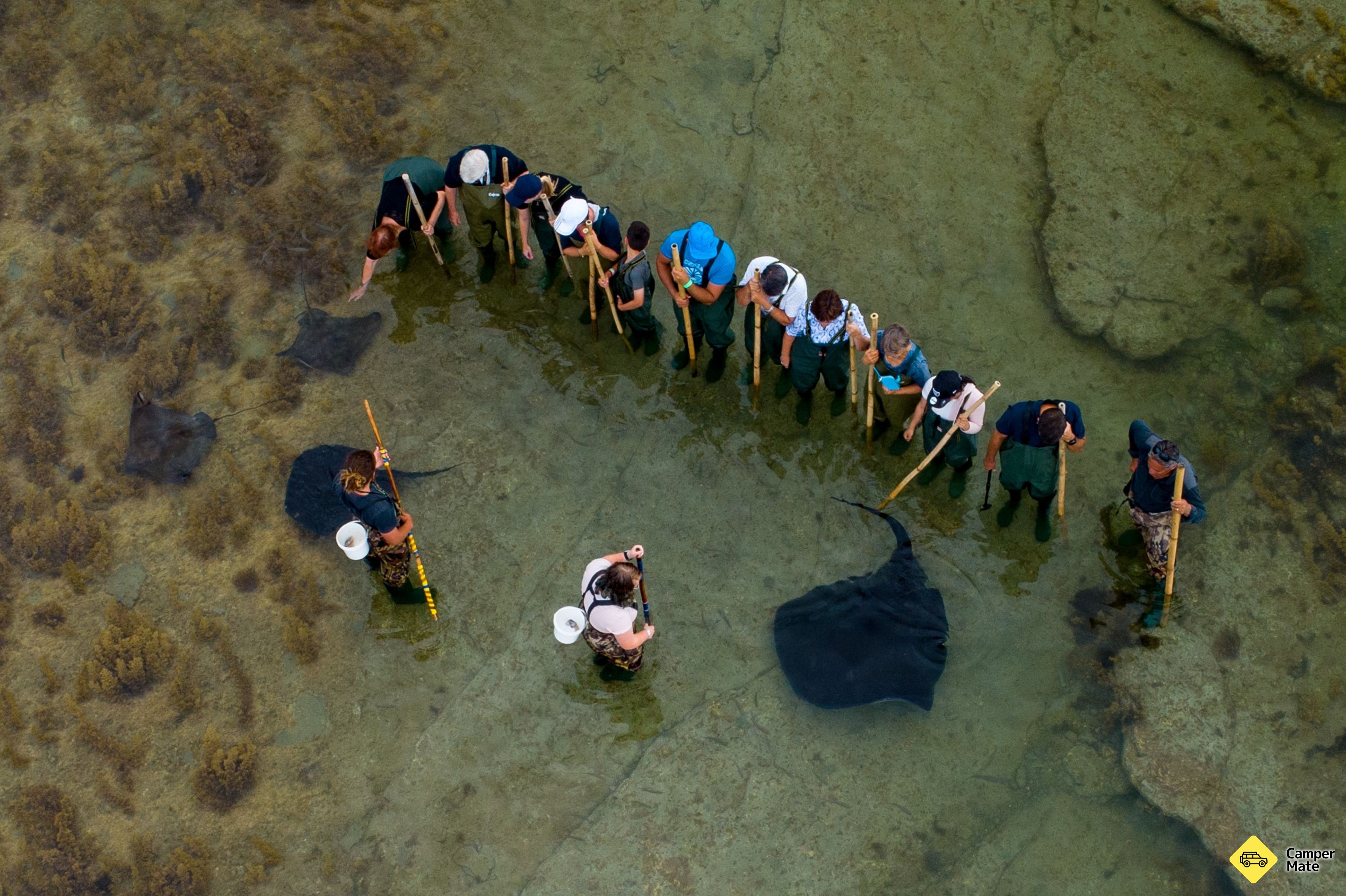 Dive Tatapouri - Stingray and Reef Ecology Tour - Image 3