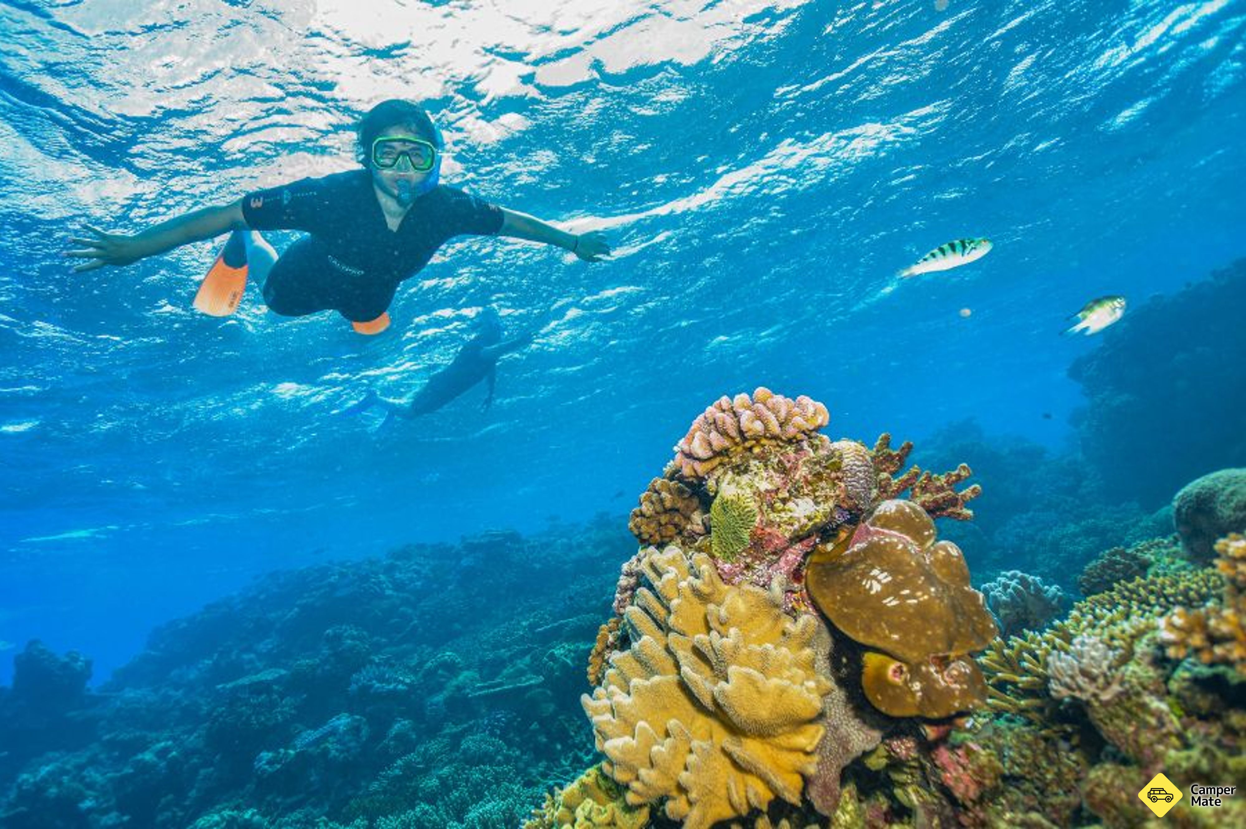 Great Barrier Reef Cruise to Reef Magic Pontoon के बारे में टिप्पणियाँ - Image 3