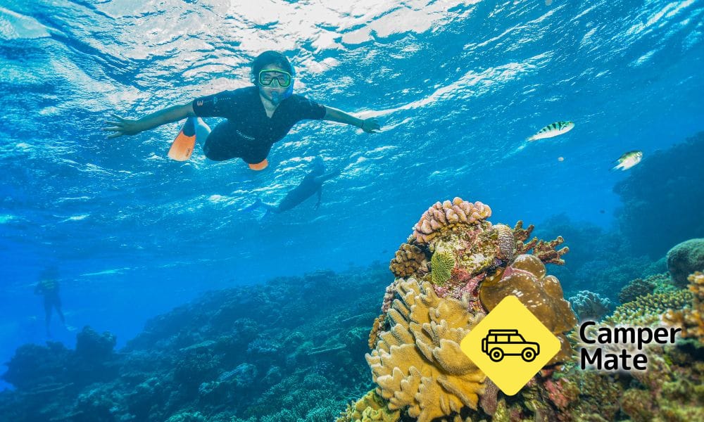 Great Barrier Reef Cruise to Reef Magic Pontoon - Image 3
