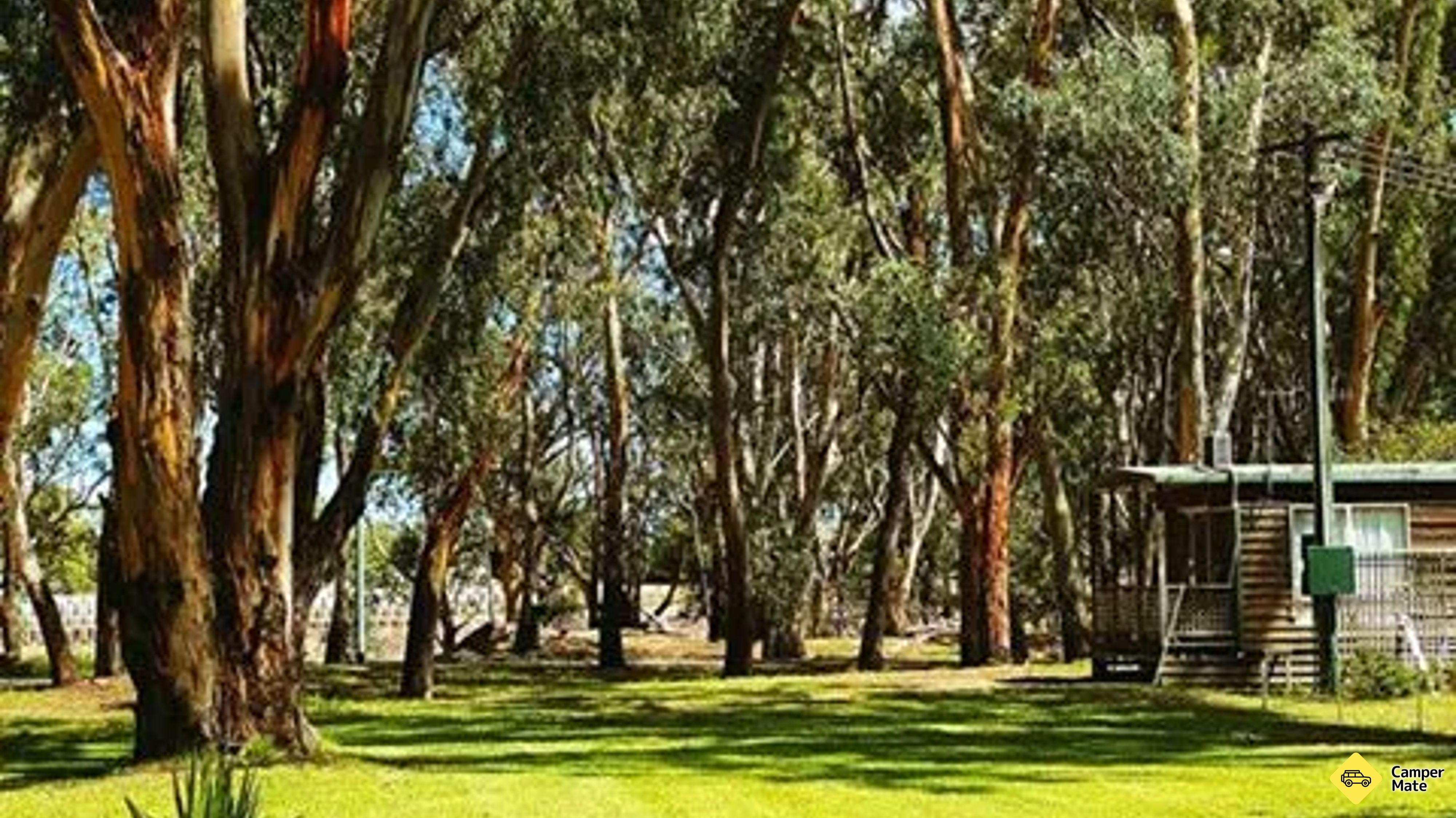 Darlington Point Riverside Caravan Park