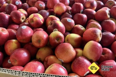 Featherston Farmers Market