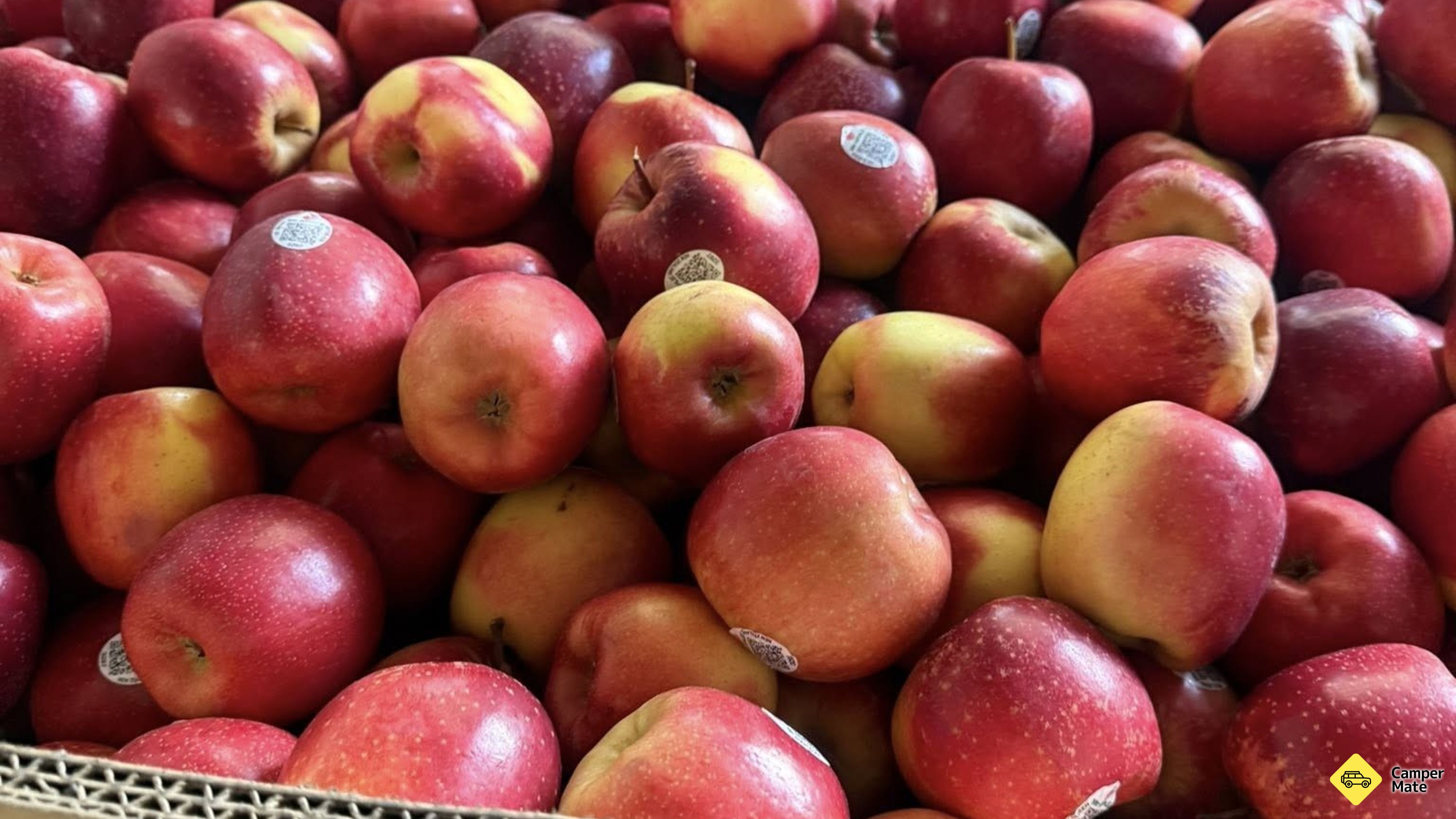 Featherston Farmers Market