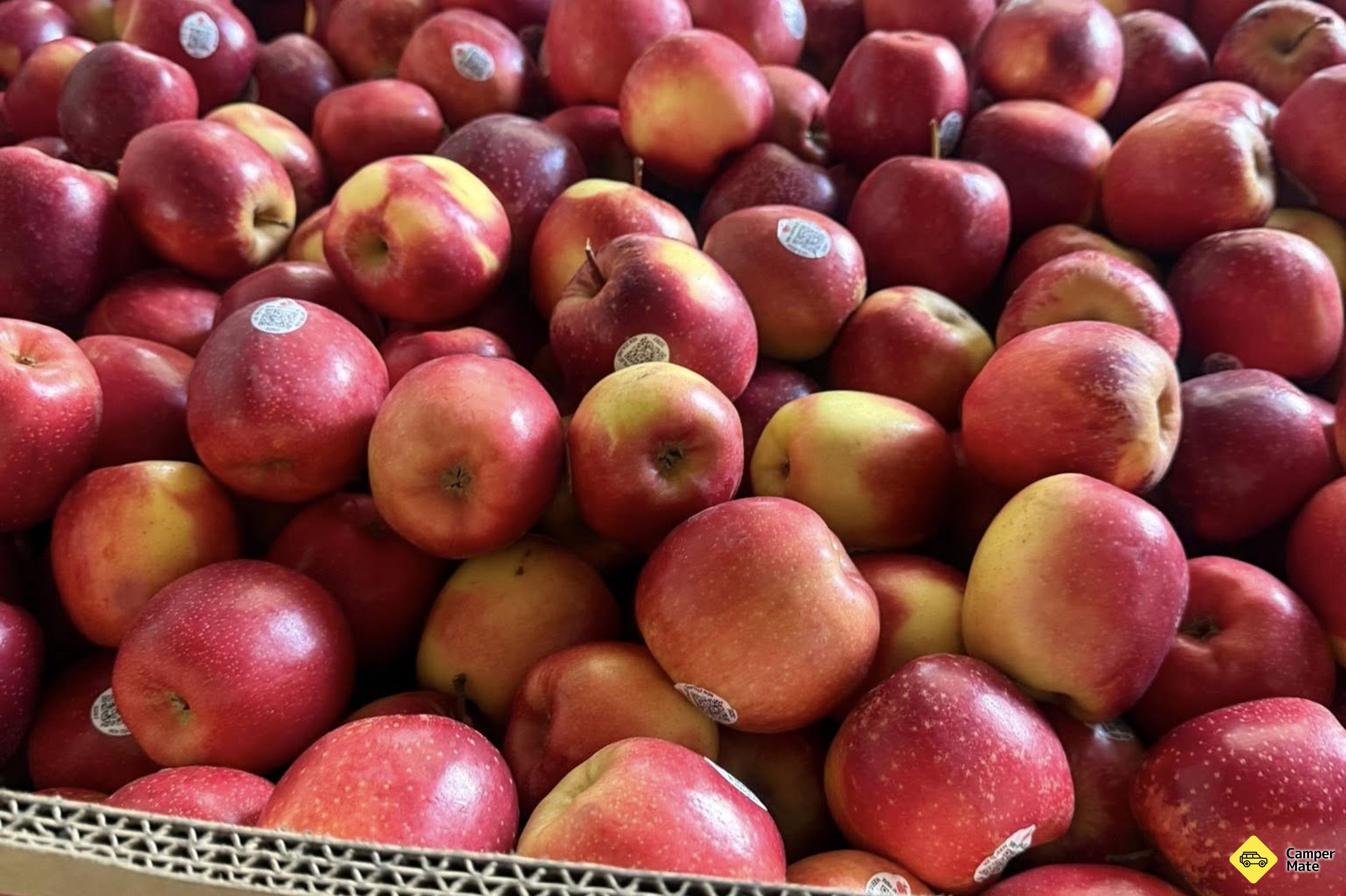 Featherston Farmers Market