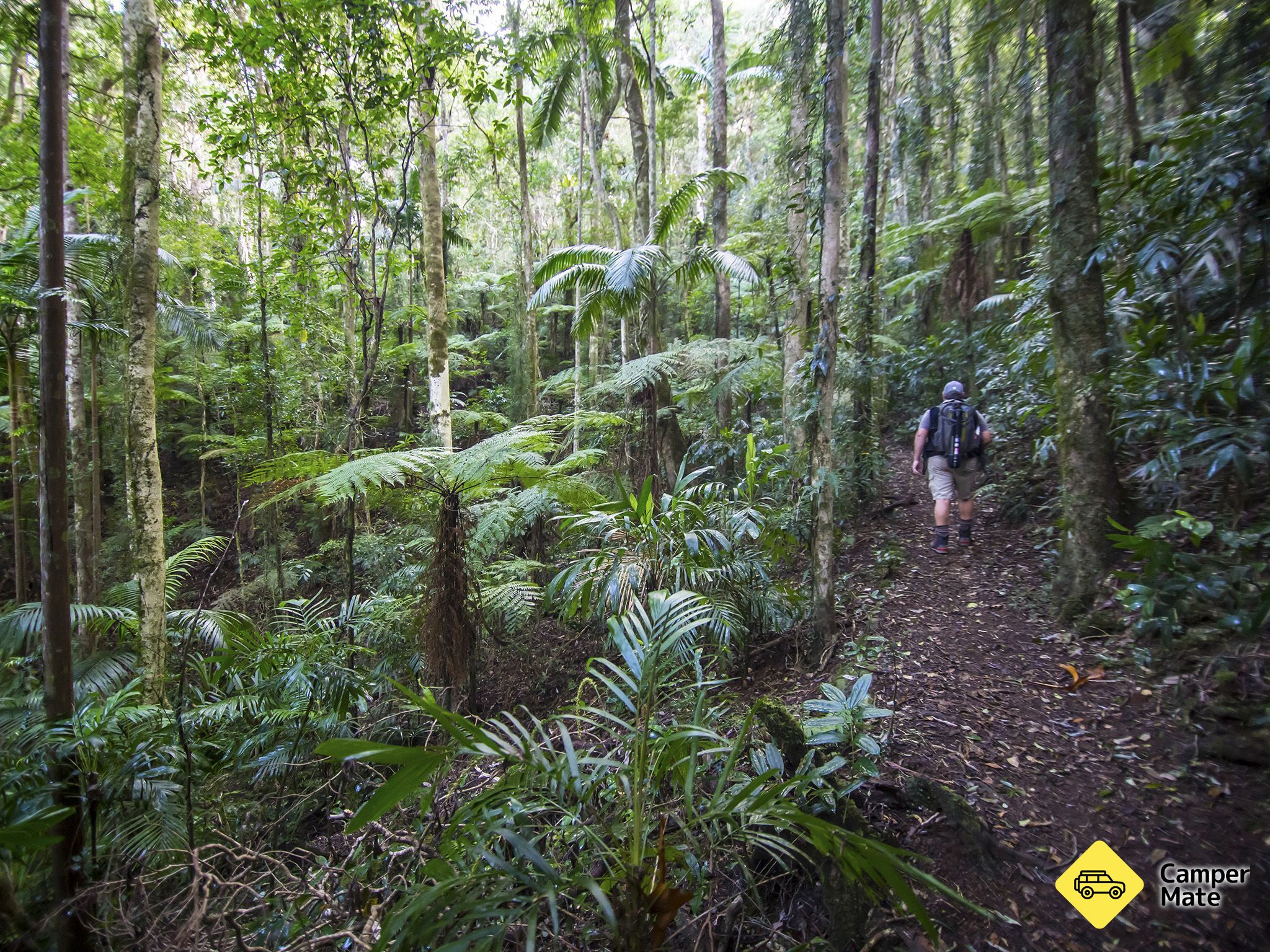 The Coomera Circuit - Image 2