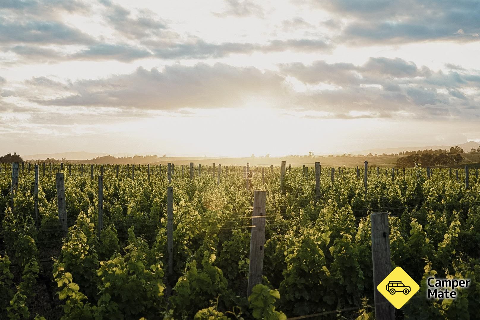 Lähellä kohdetta Henri Vineyard