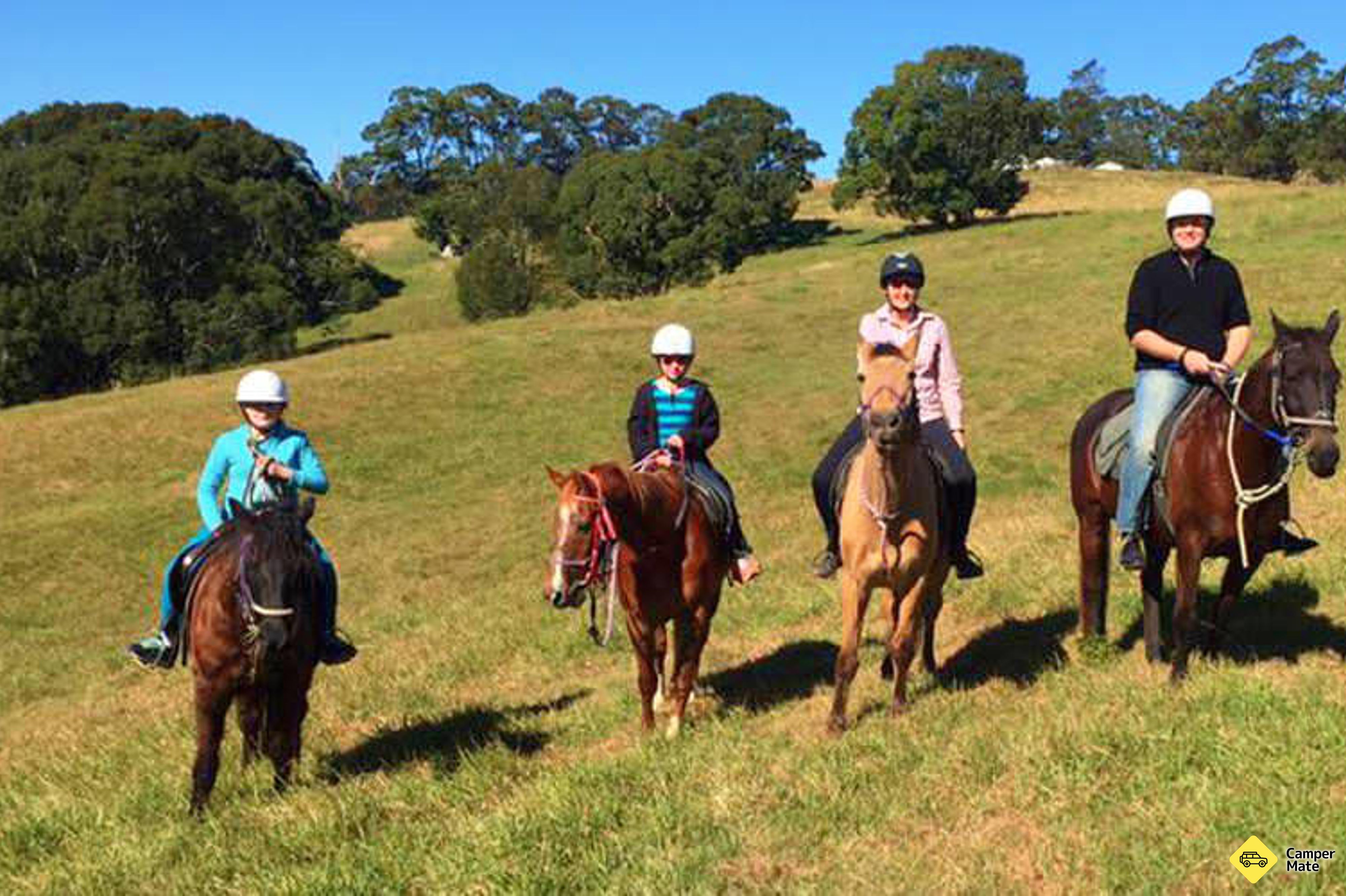 Pferderennen Byron Bay Beach Ride - Image 2