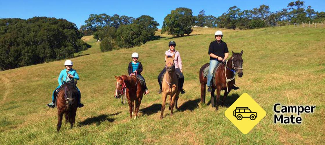 Horse Riding Byron Bay Beach Ride - Image 2
